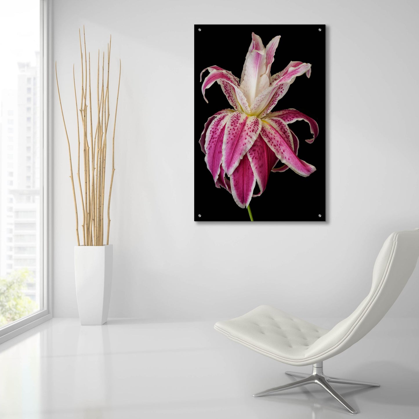 Epic Art 'Lily Queen' by Pamela Plummer, Acrylic Glass Wall Art,24x36