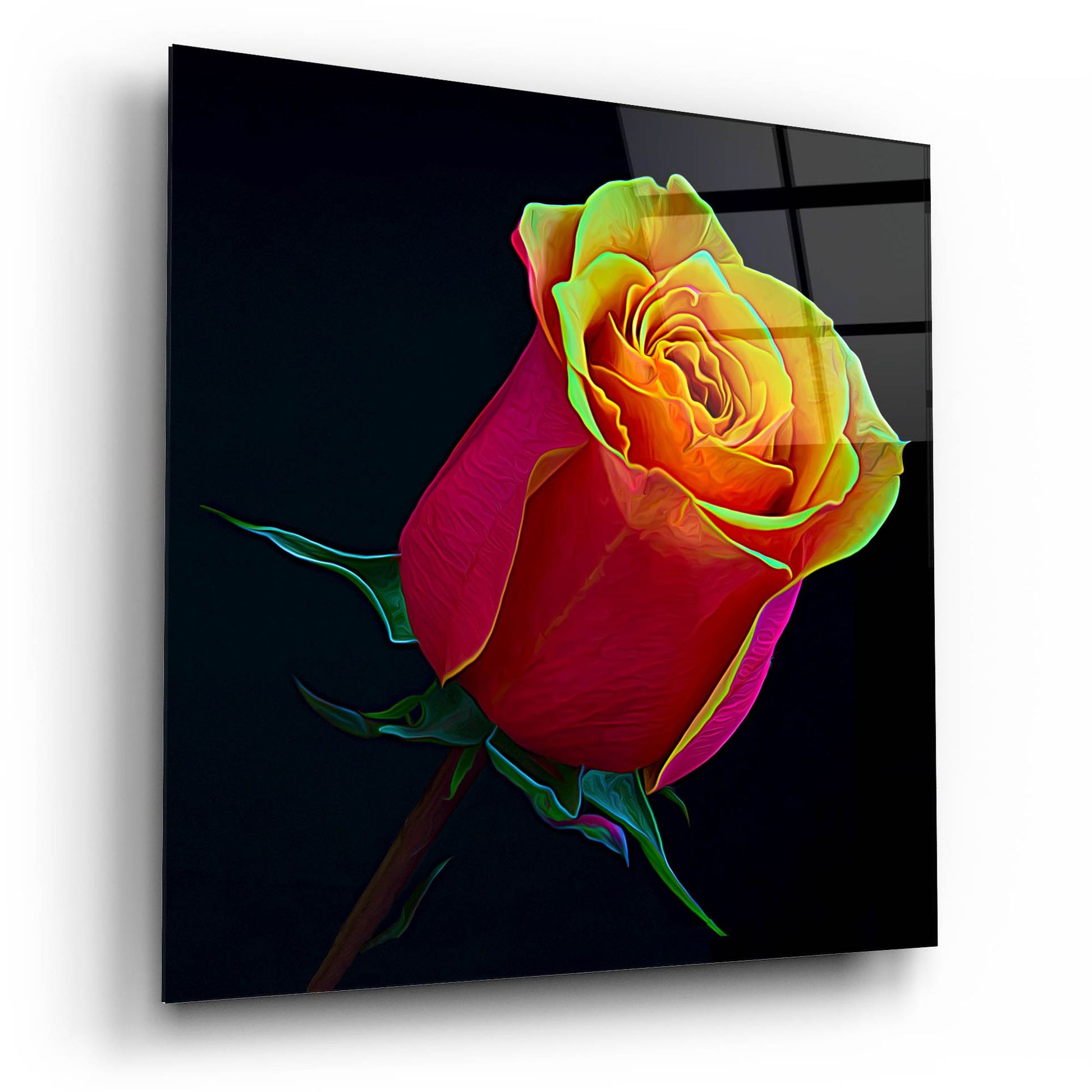 Epic Art 'Little Rosebud' by Pamela Plummer, Acrylic Glass Wall Art,12x12