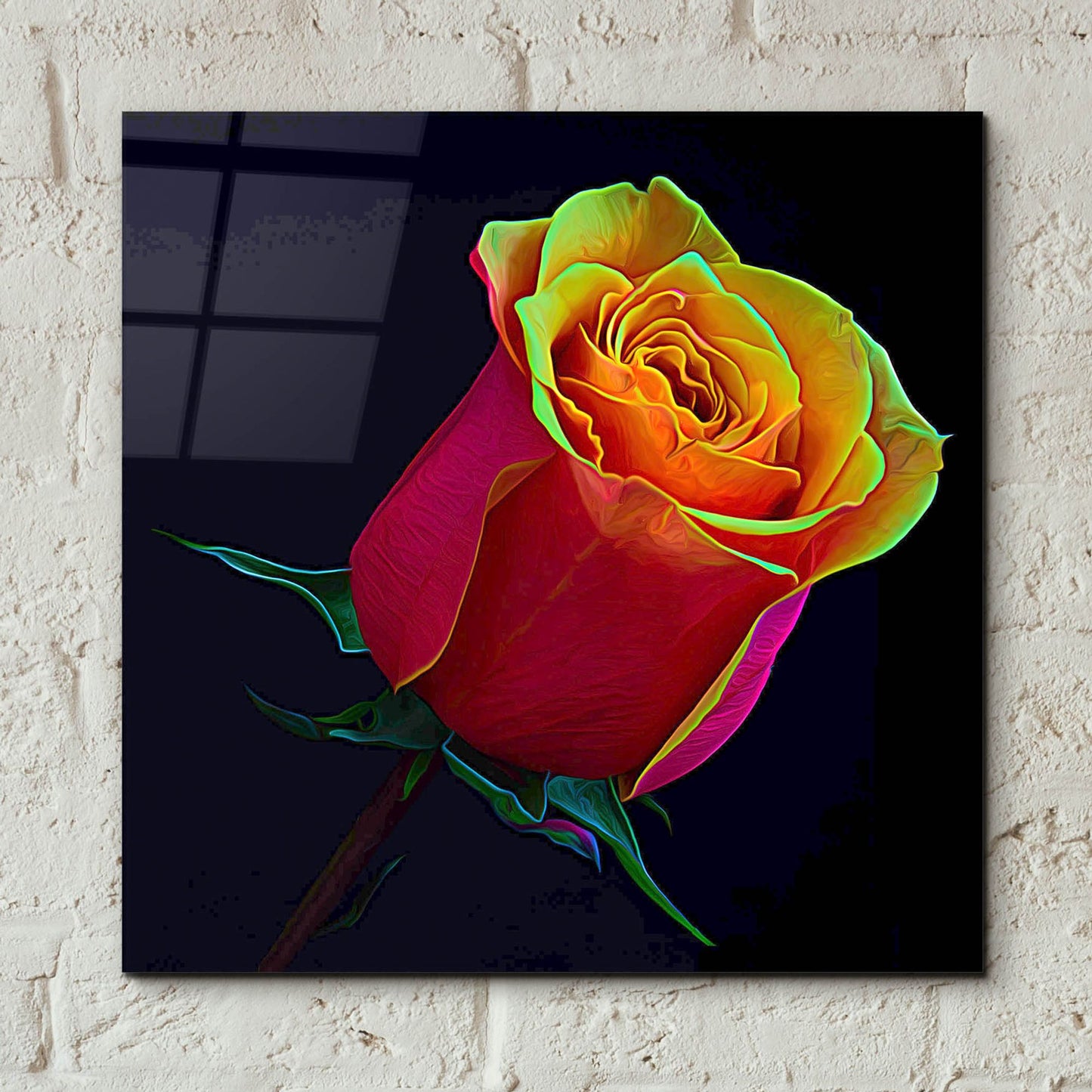 Epic Art 'Little Rosebud' by Pamela Plummer, Acrylic Glass Wall Art,12x12