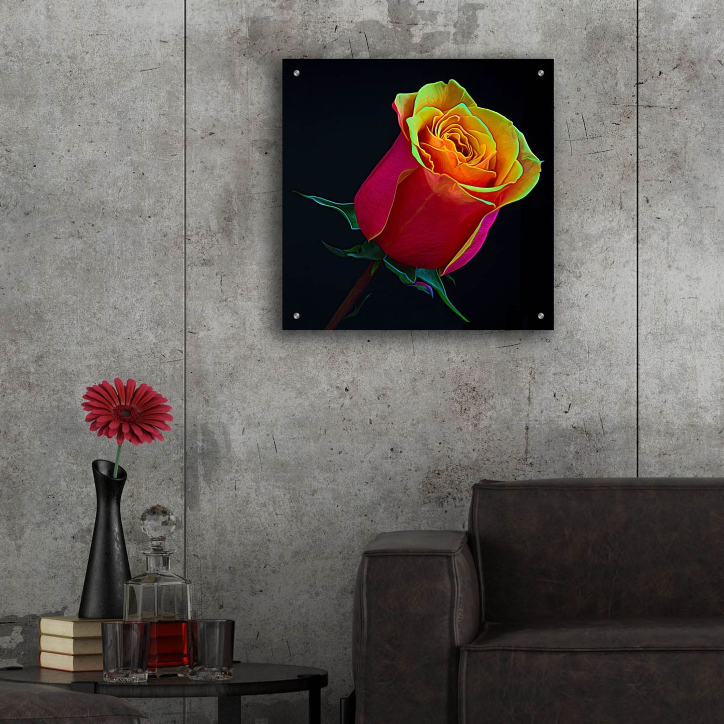 Epic Art 'Little Rosebud' by Pamela Plummer, Acrylic Glass Wall Art,24x24