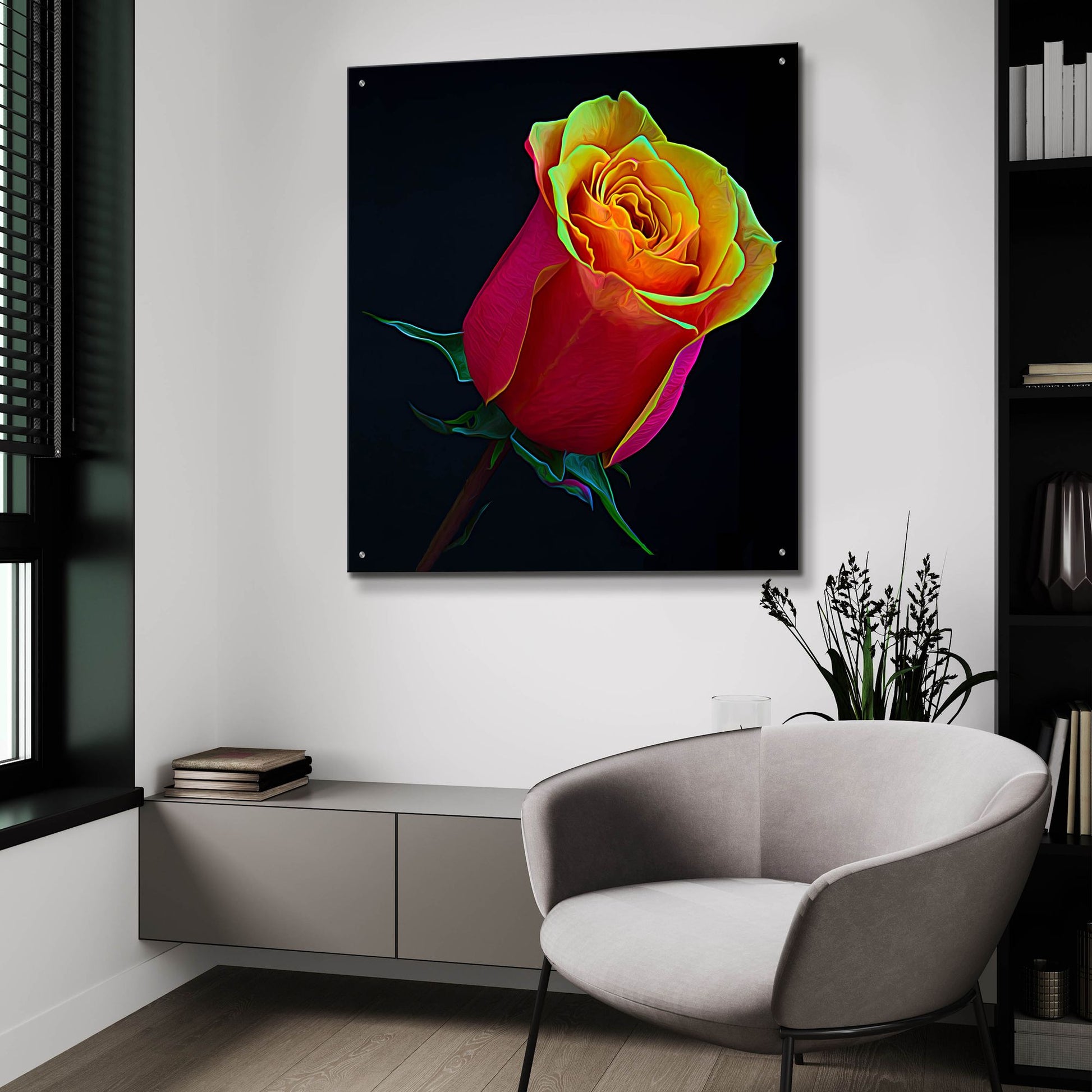 Epic Art 'Little Rosebud' by Pamela Plummer, Acrylic Glass Wall Art,36x36