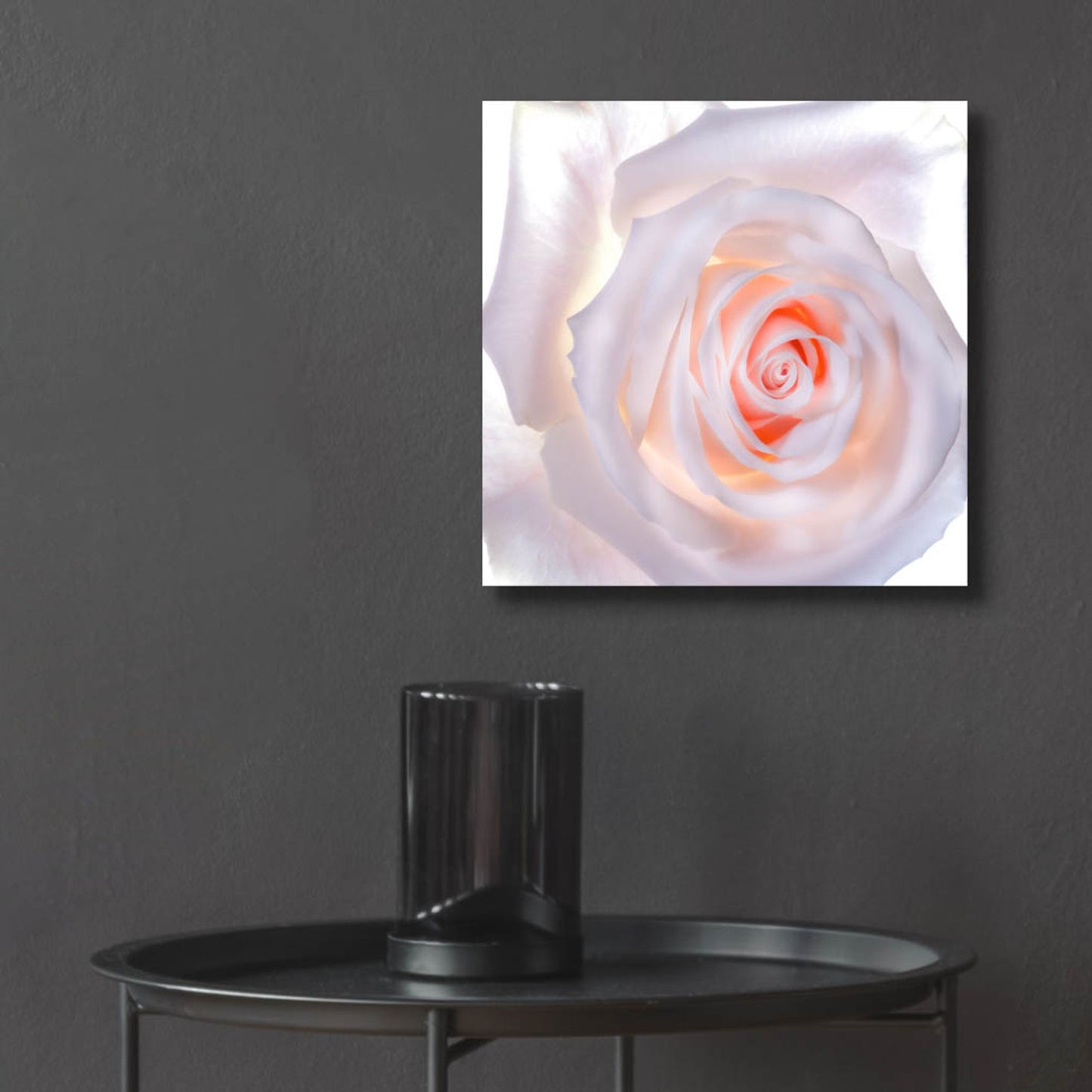 Epic Art 'Love Is A Pink Rose' by Pamela Plummer, Acrylic Glass Wall Art,12x12