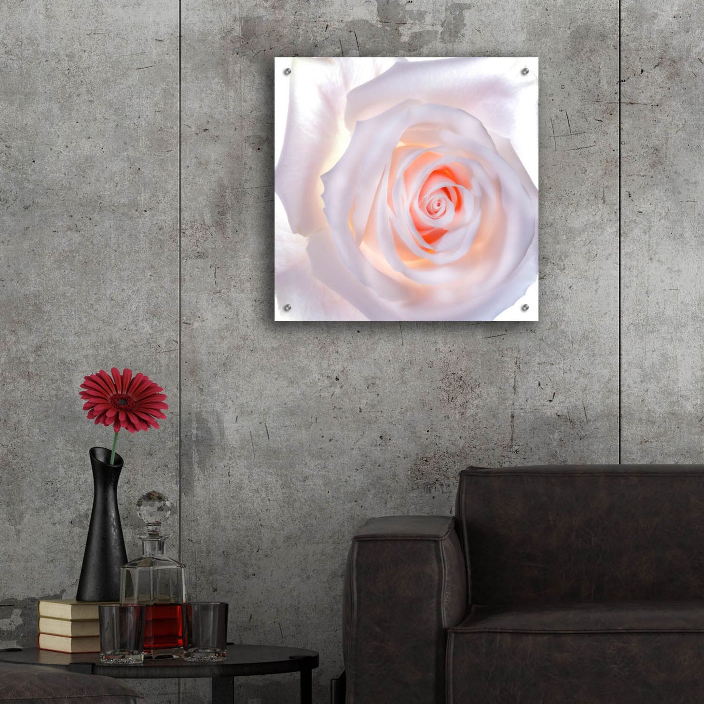 Epic Art 'Love Is A Pink Rose' by Pamela Plummer, Acrylic Glass Wall Art,24x24