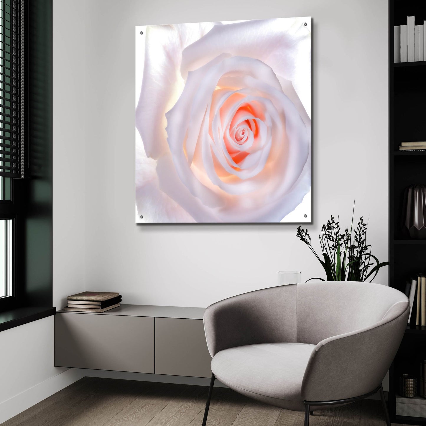 Epic Art 'Love Is A Pink Rose' by Pamela Plummer, Acrylic Glass Wall Art,36x36