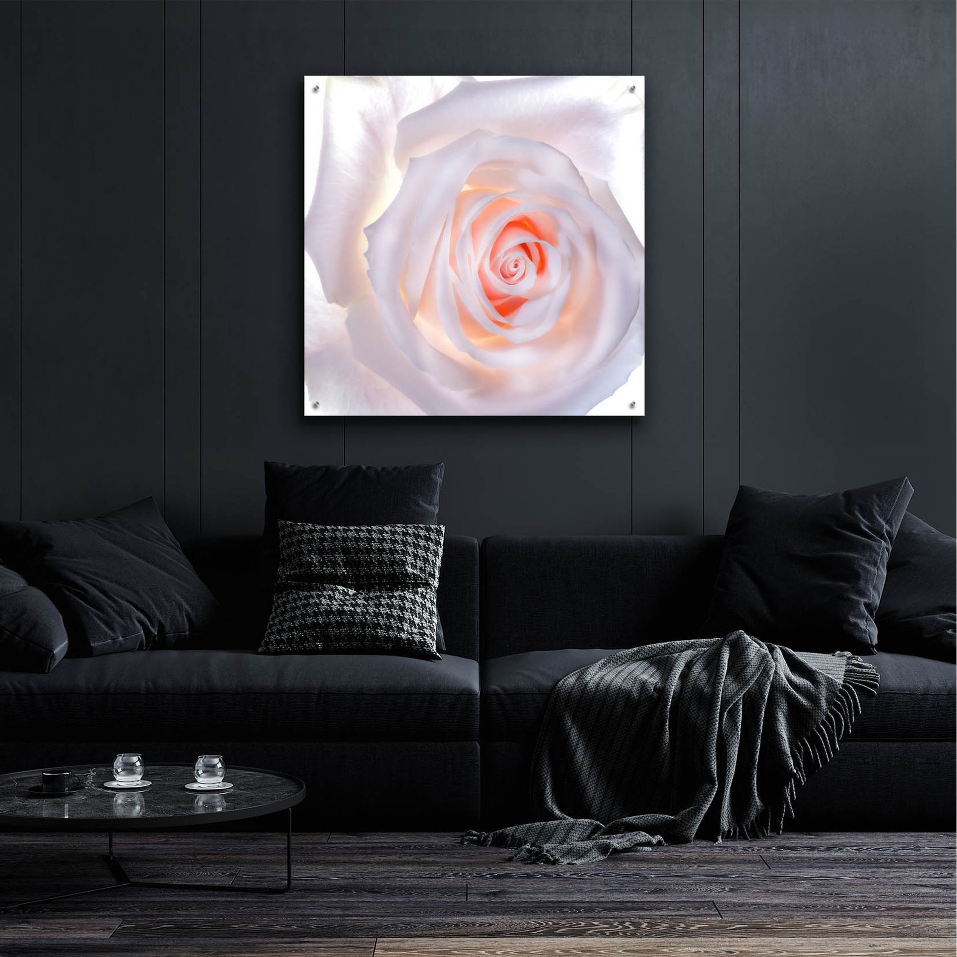 Epic Art 'Love Is A Pink Rose' by Pamela Plummer, Acrylic Glass Wall Art,36x36