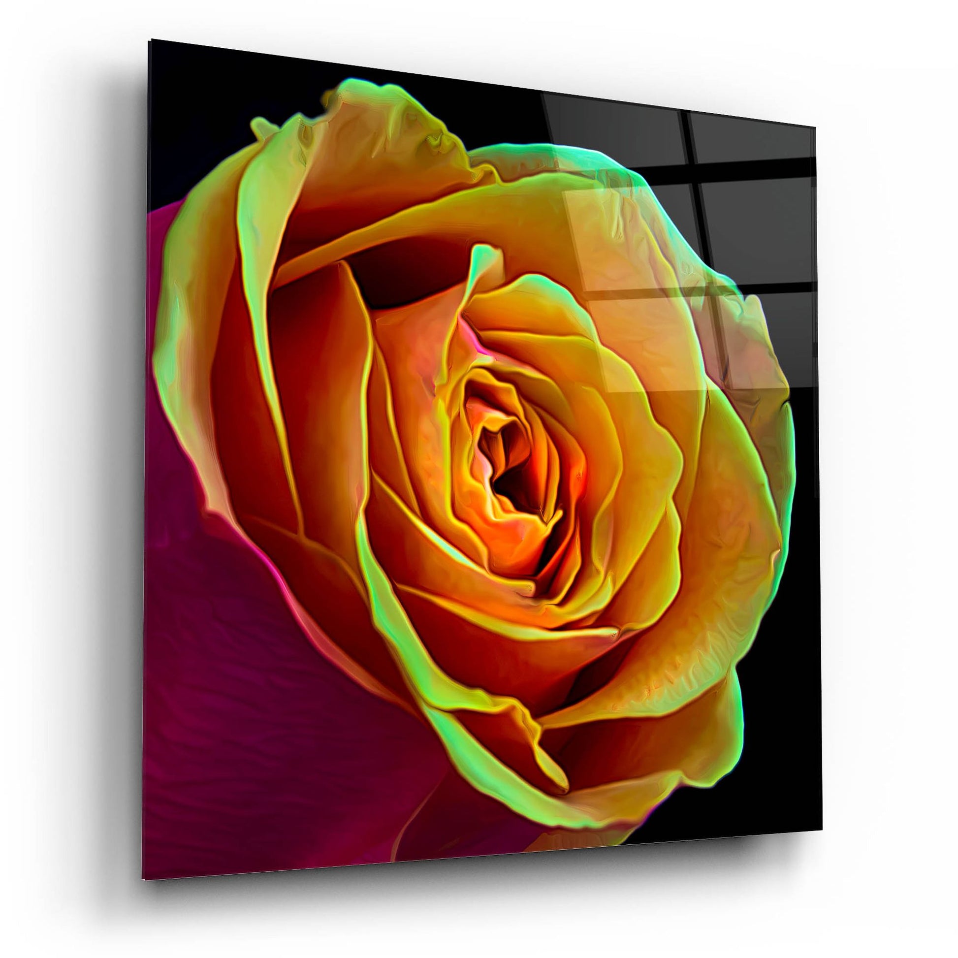 Epic Art 'Love Is A Rose 2' by Pamela Plummer, Acrylic Glass Wall Art,12x12