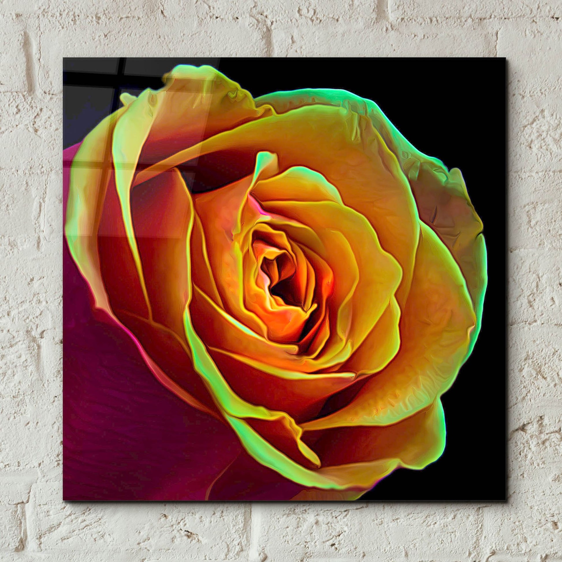 Epic Art 'Love Is A Rose 2' by Pamela Plummer, Acrylic Glass Wall Art,12x12