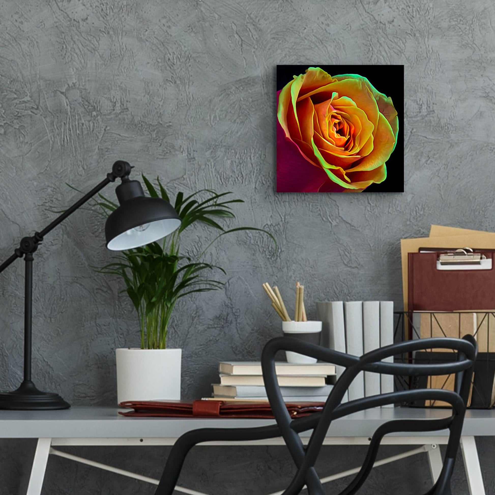 Epic Art 'Love Is A Rose 2' by Pamela Plummer, Acrylic Glass Wall Art,12x12