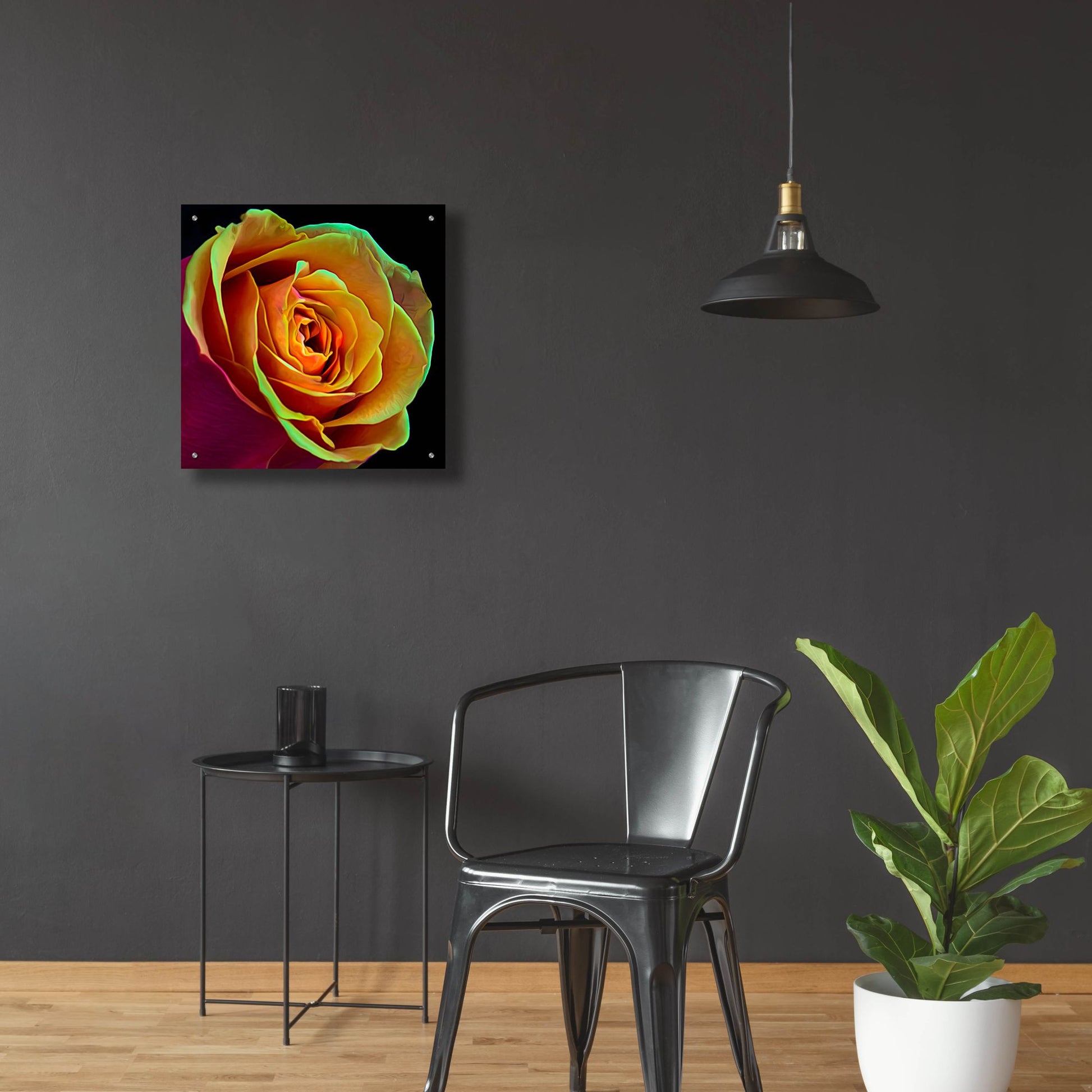 Epic Art 'Love Is A Rose 2' by Pamela Plummer, Acrylic Glass Wall Art,24x24