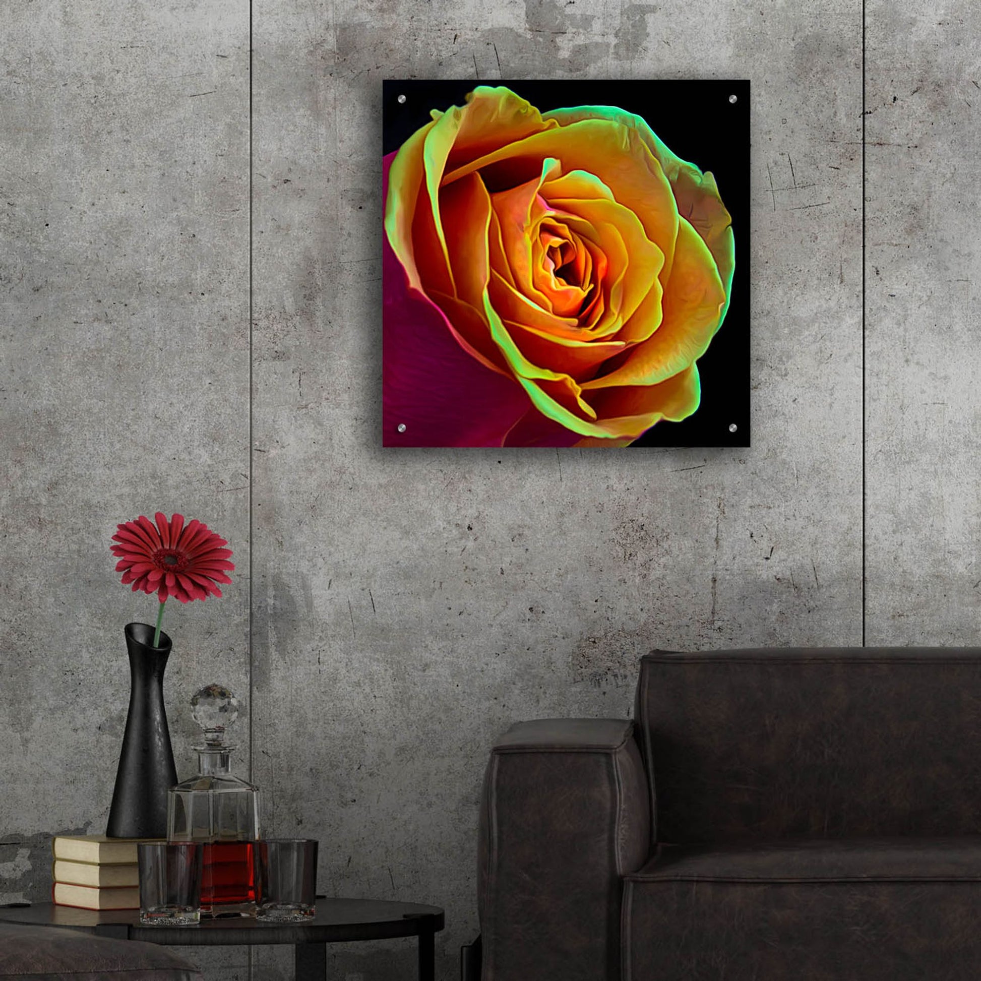 Epic Art 'Love Is A Rose 2' by Pamela Plummer, Acrylic Glass Wall Art,24x24