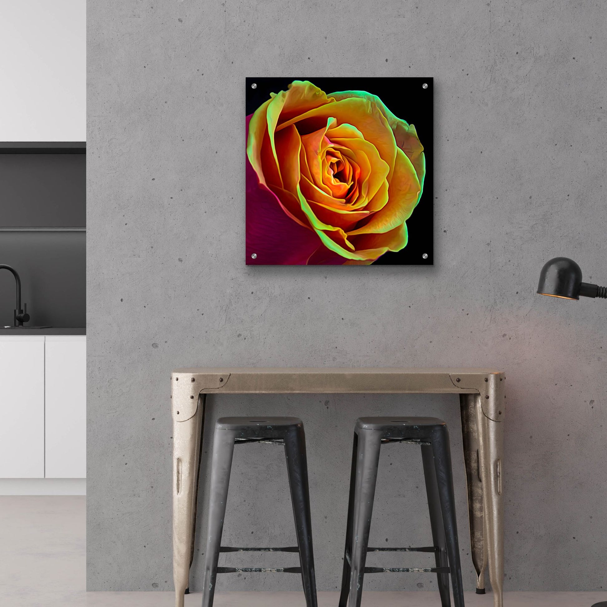 Epic Art 'Love Is A Rose 2' by Pamela Plummer, Acrylic Glass Wall Art,24x24