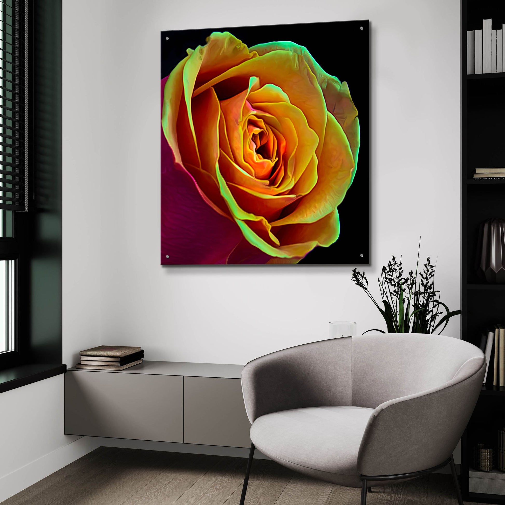 Epic Art 'Love Is A Rose 2' by Pamela Plummer, Acrylic Glass Wall Art,36x36