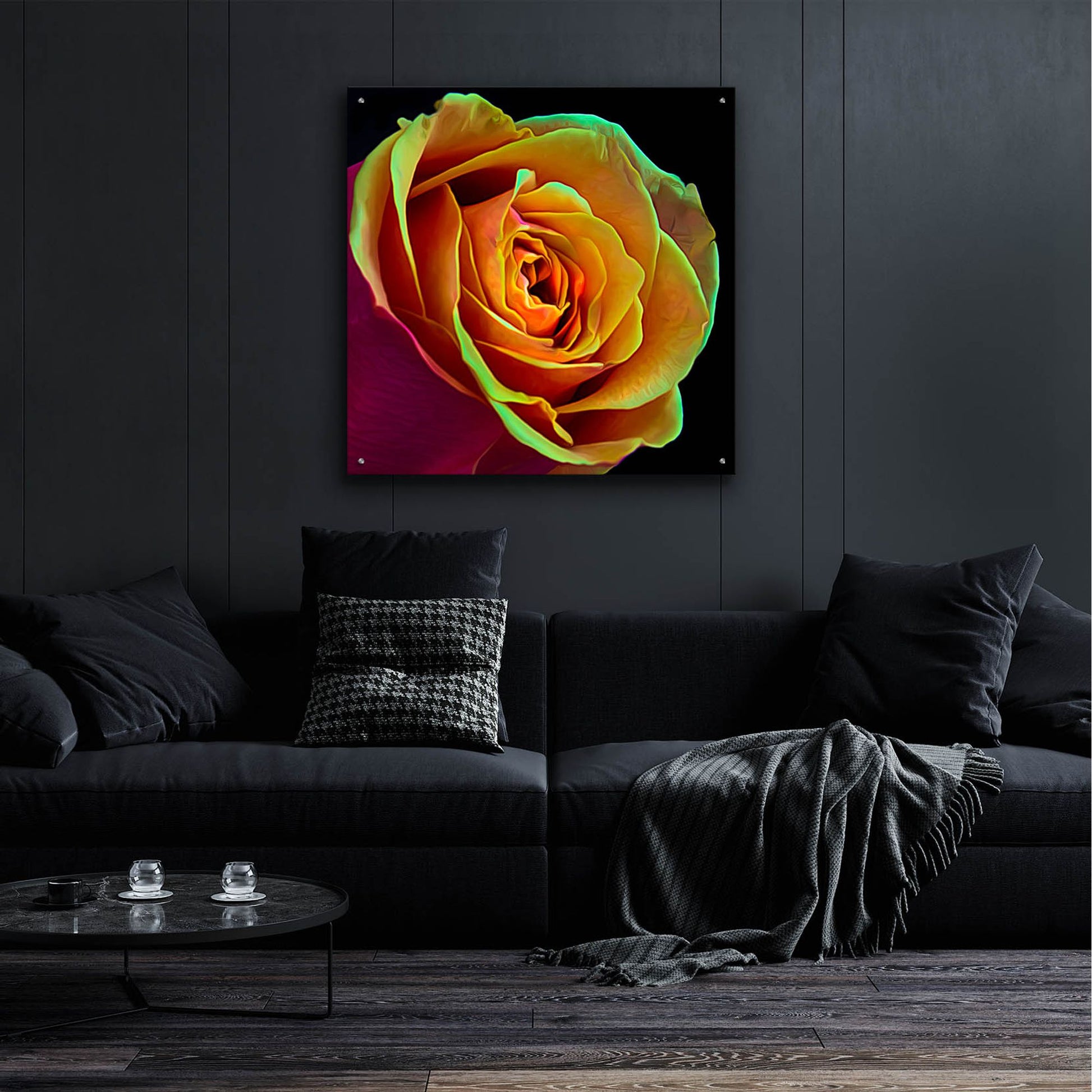 Epic Art 'Love Is A Rose 2' by Pamela Plummer, Acrylic Glass Wall Art,36x36