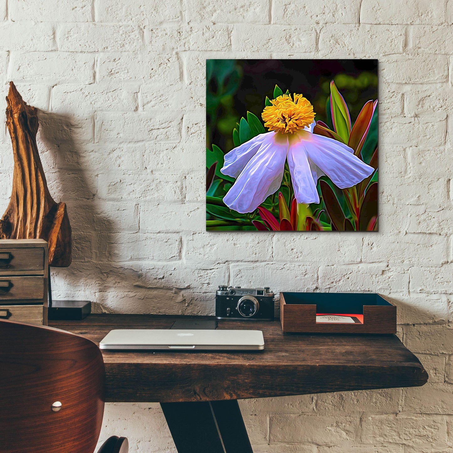 Epic Art 'Matilija Poppy' by Pamela Plummer, Acrylic Glass Wall Art,12x12