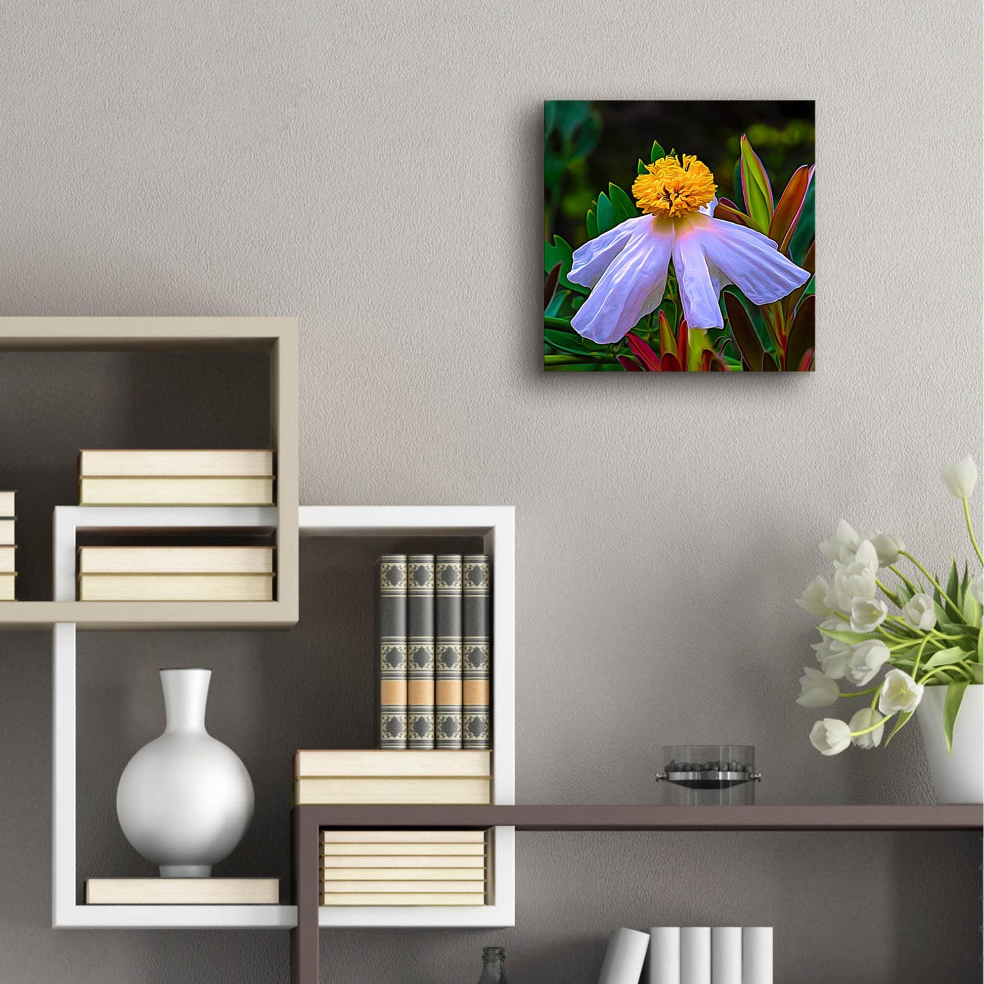 Epic Art 'Matilija Poppy' by Pamela Plummer, Acrylic Glass Wall Art,12x12