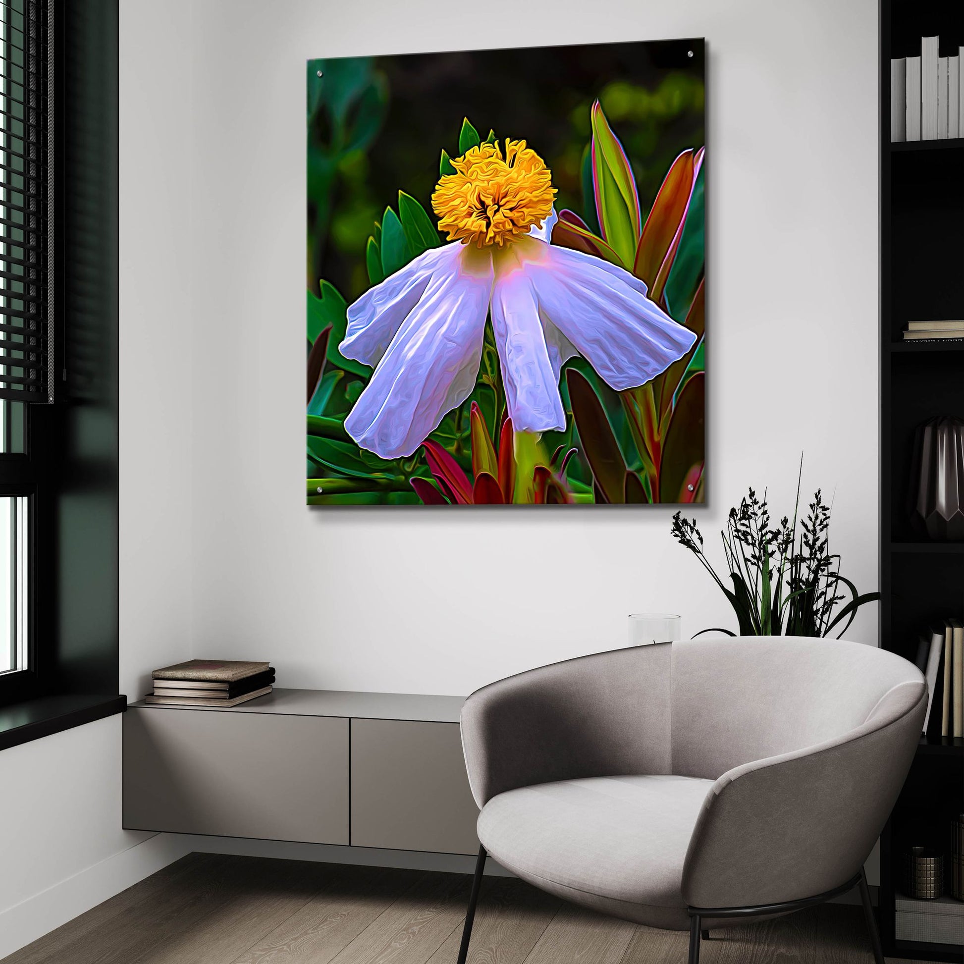 Epic Art 'Matilija Poppy' by Pamela Plummer, Acrylic Glass Wall Art,36x36