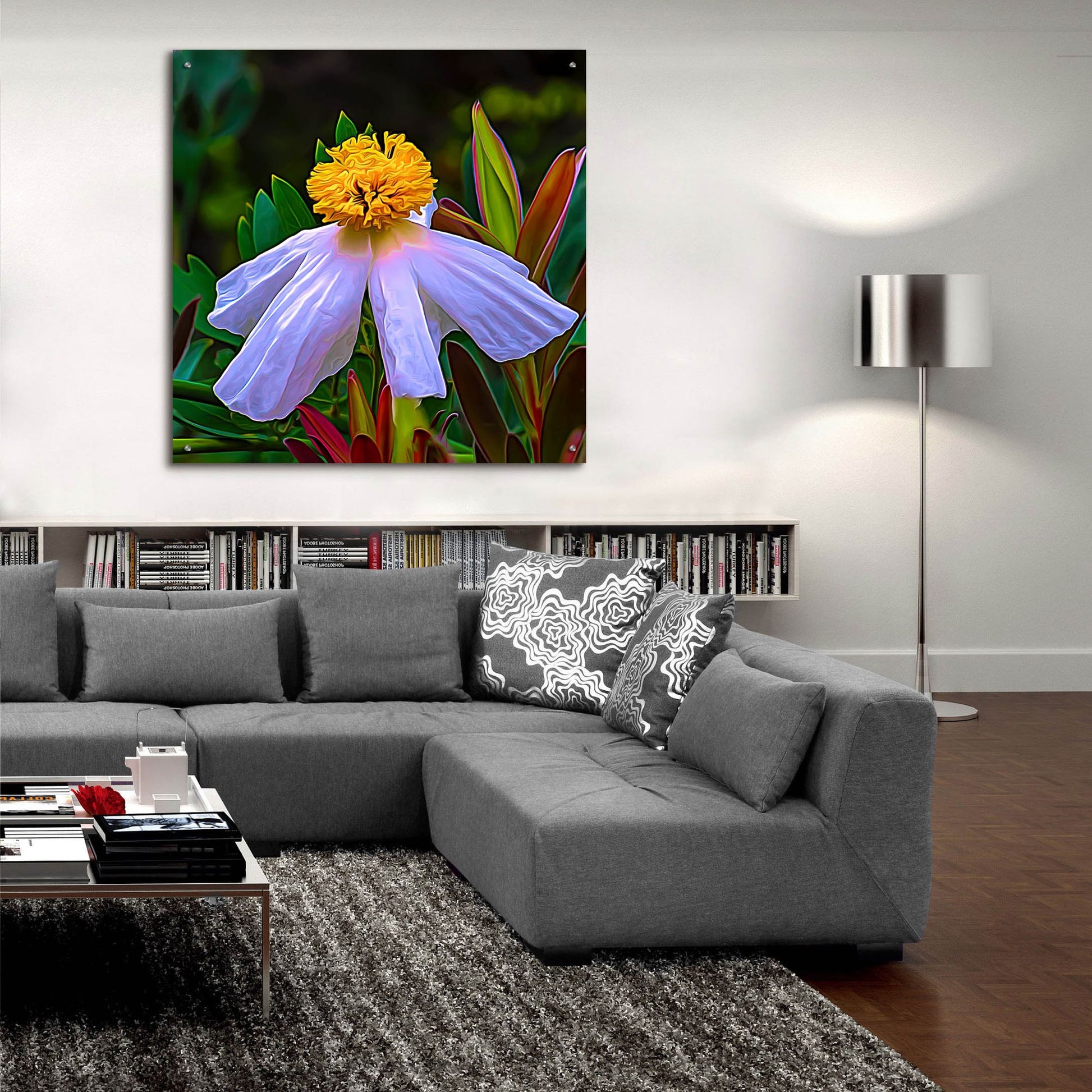 Epic Art 'Matilija Poppy' by Pamela Plummer, Acrylic Glass Wall Art,36x36