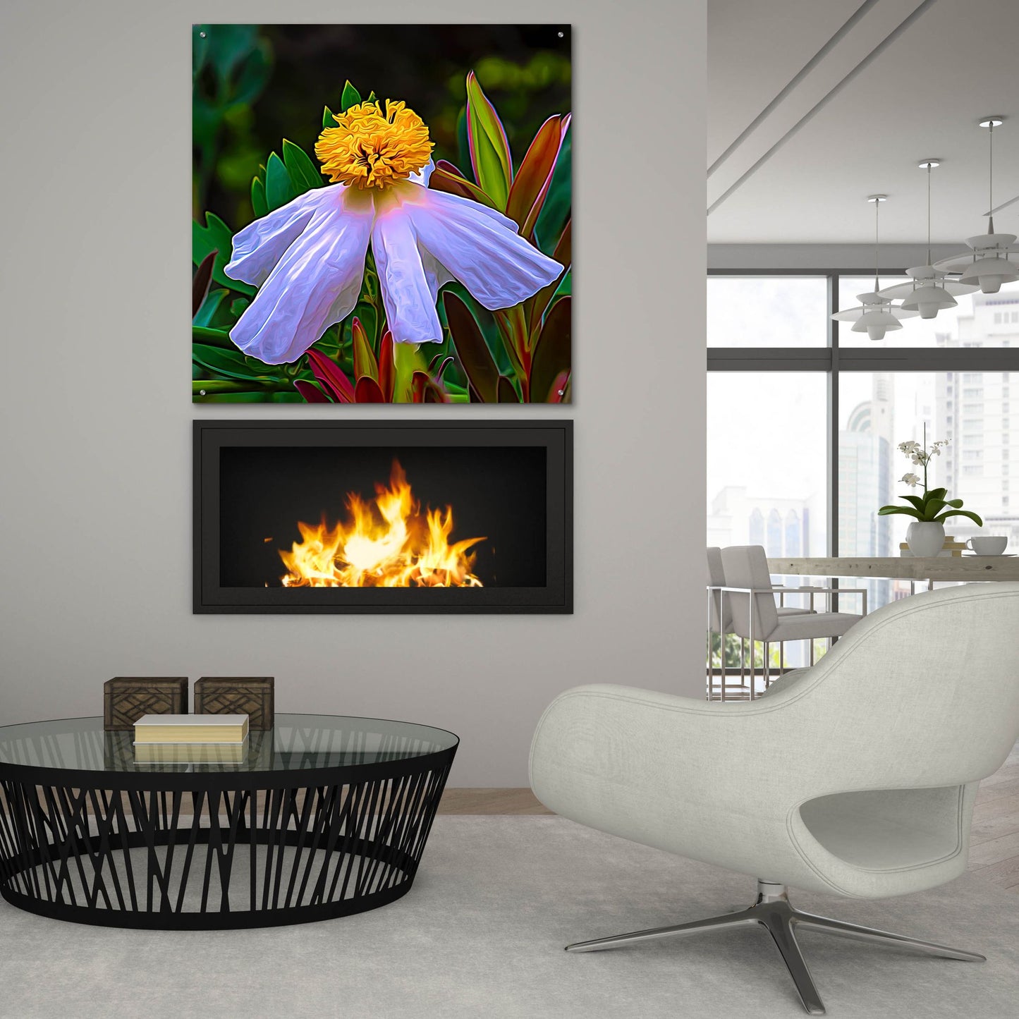 Epic Art 'Matilija Poppy' by Pamela Plummer, Acrylic Glass Wall Art,36x36