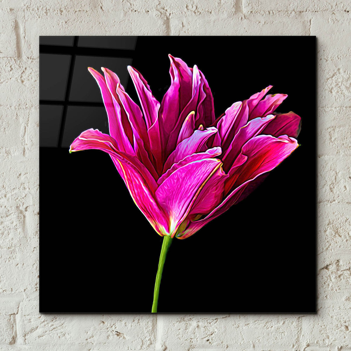 Epic Art 'Miss Lily Midnight' by Pamela Plummer, Acrylic Glass Wall Art,12x12