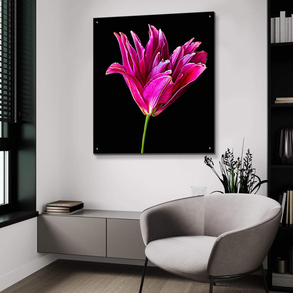 Epic Art 'Miss Lily Midnight' by Pamela Plummer, Acrylic Glass Wall Art,36x36