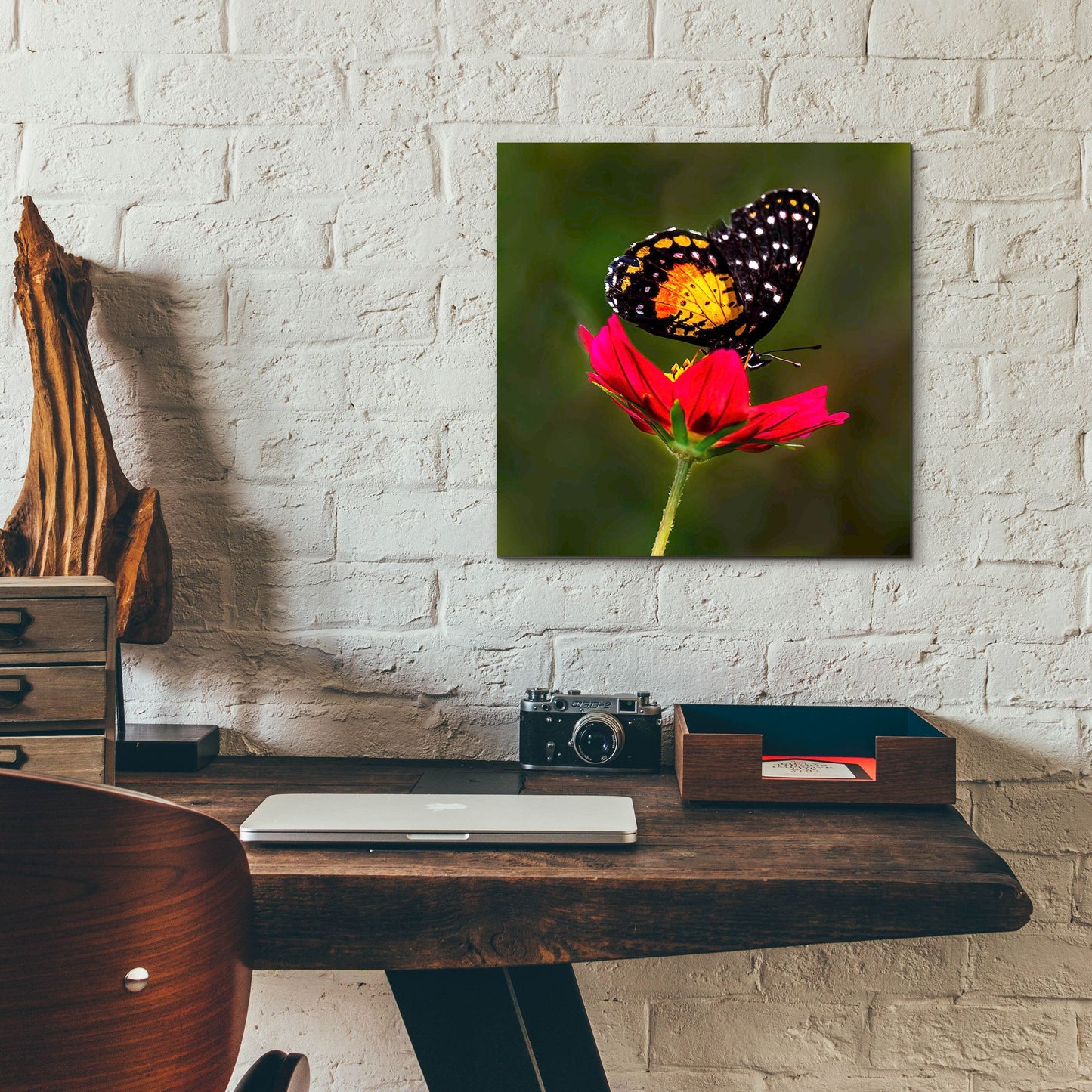 Epic Art 'Monarch Butterfly On Red Flower' by Pamela Plummer, Acrylic Glass Wall Art,12x12