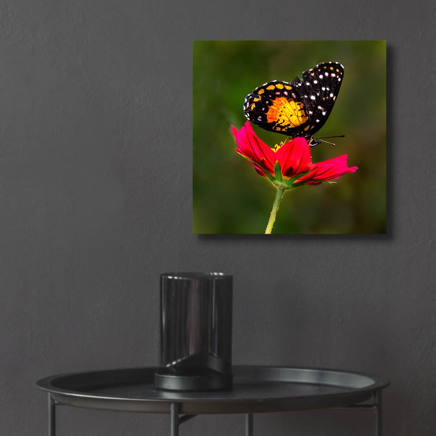 Epic Art 'Monarch Butterfly On Red Flower' by Pamela Plummer, Acrylic Glass Wall Art,12x12