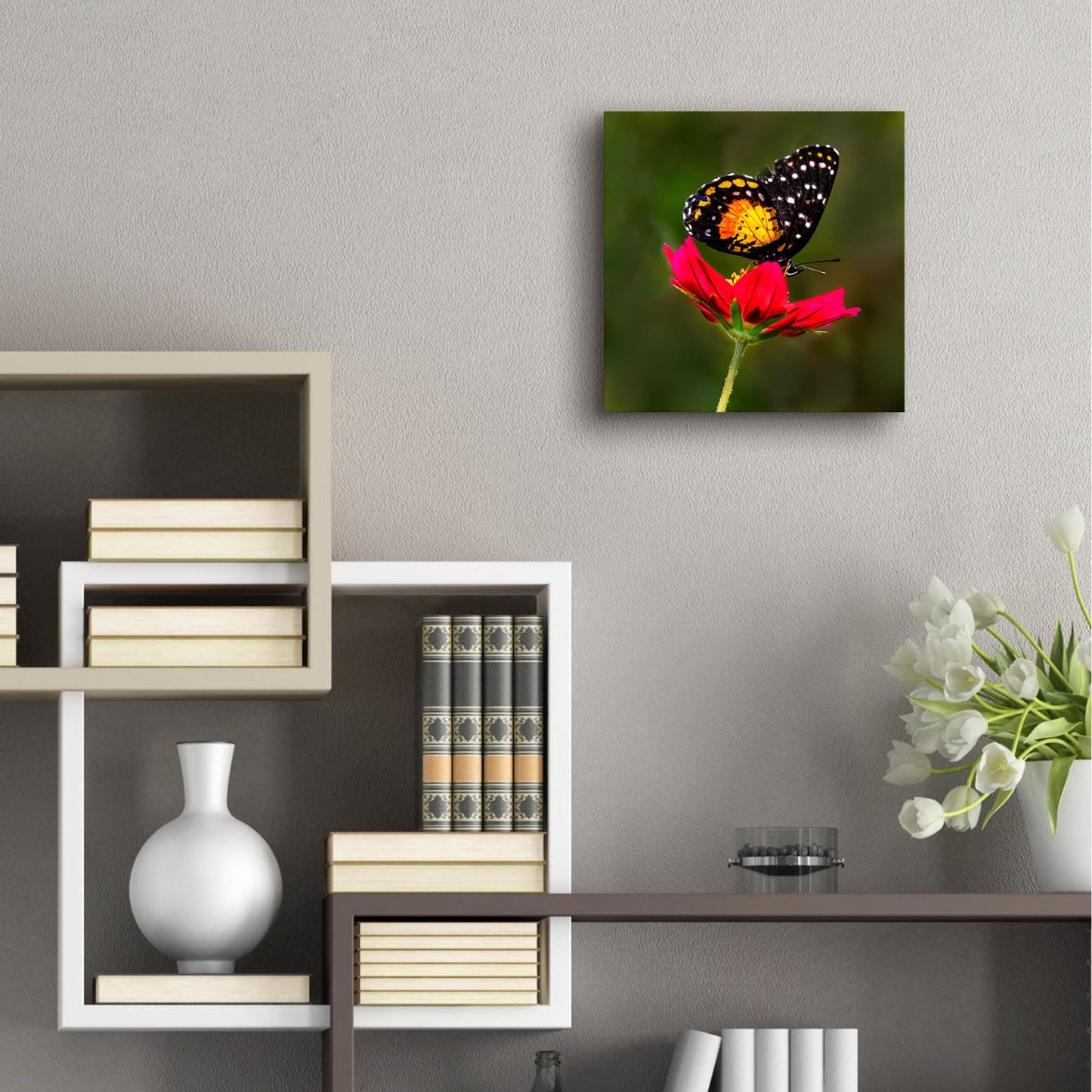 Epic Art 'Monarch Butterfly On Red Flower' by Pamela Plummer, Acrylic Glass Wall Art,12x12