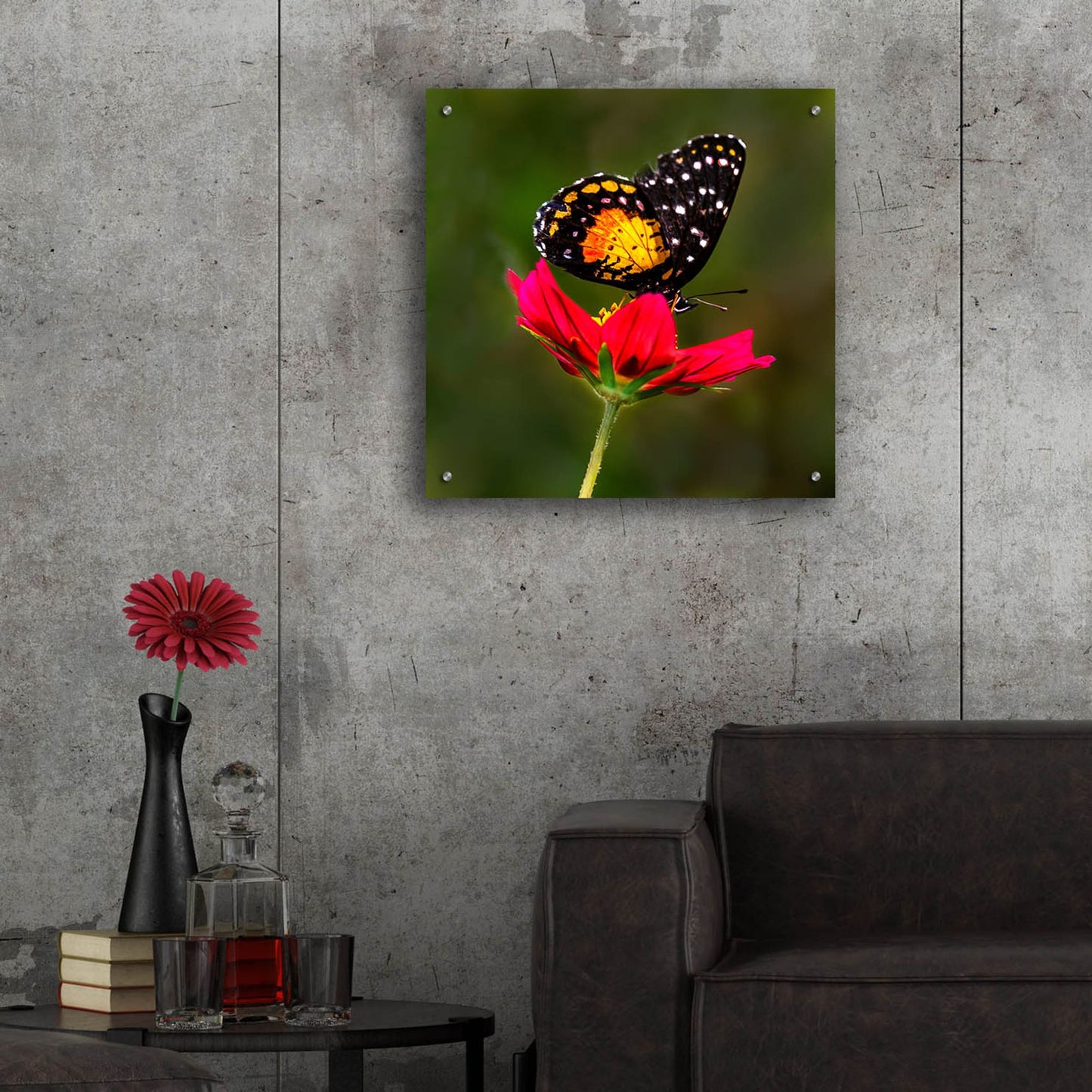 Epic Art 'Monarch Butterfly On Red Flower' by Pamela Plummer, Acrylic Glass Wall Art,24x24