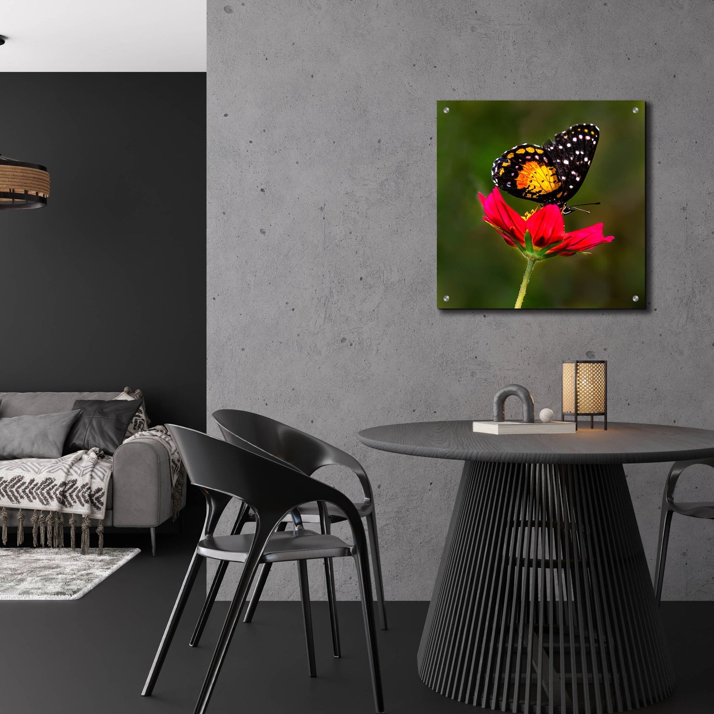 Epic Art 'Monarch Butterfly On Red Flower' by Pamela Plummer, Acrylic Glass Wall Art,24x24