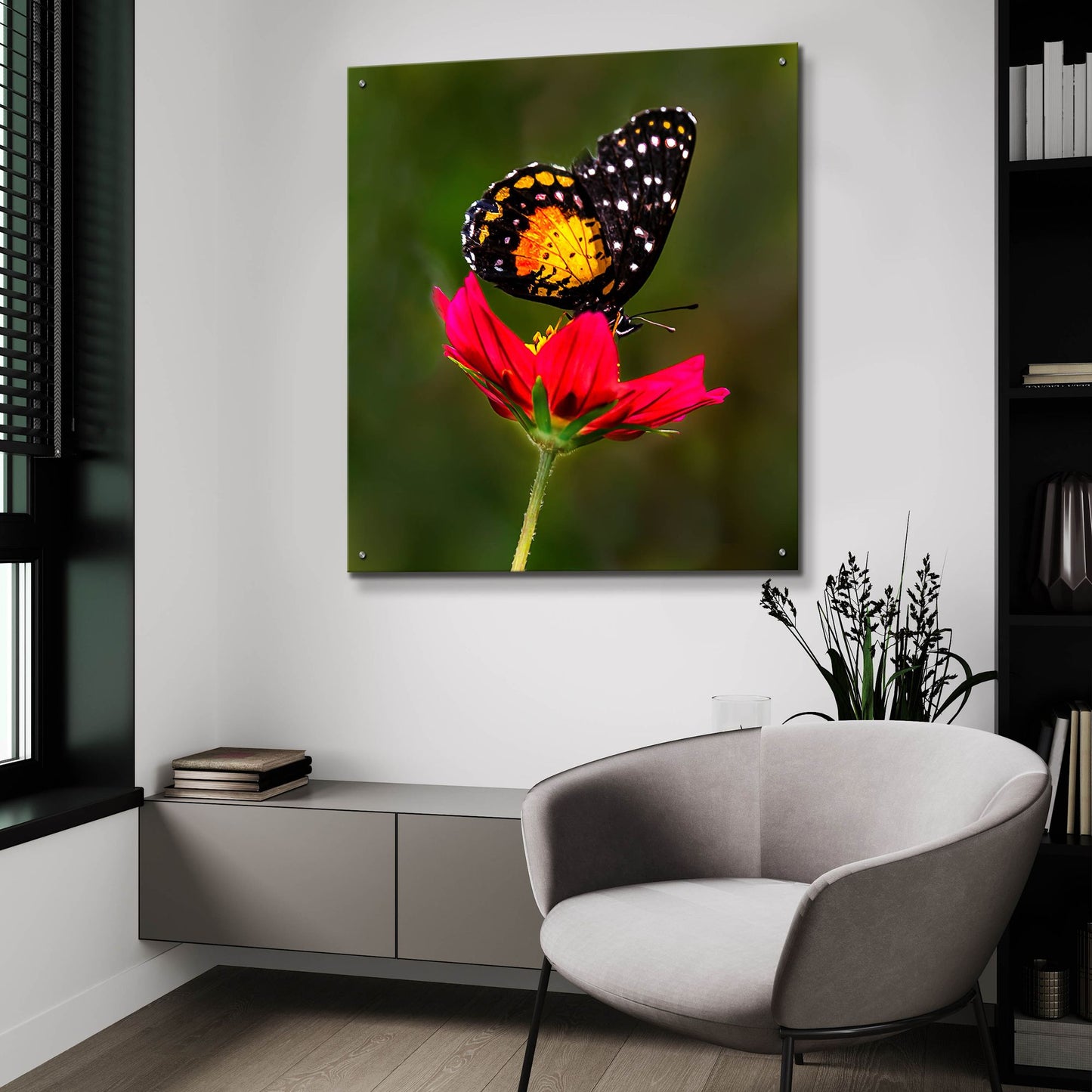 Epic Art 'Monarch Butterfly On Red Flower' by Pamela Plummer, Acrylic Glass Wall Art,36x36