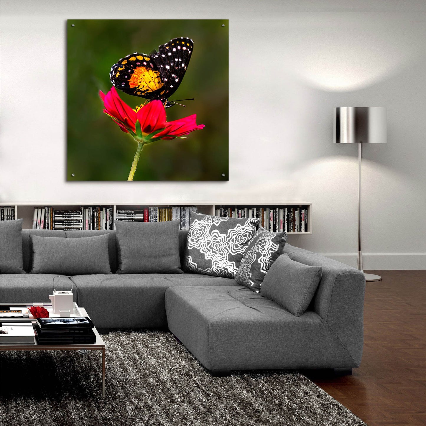 Epic Art 'Monarch Butterfly On Red Flower' by Pamela Plummer, Acrylic Glass Wall Art,36x36