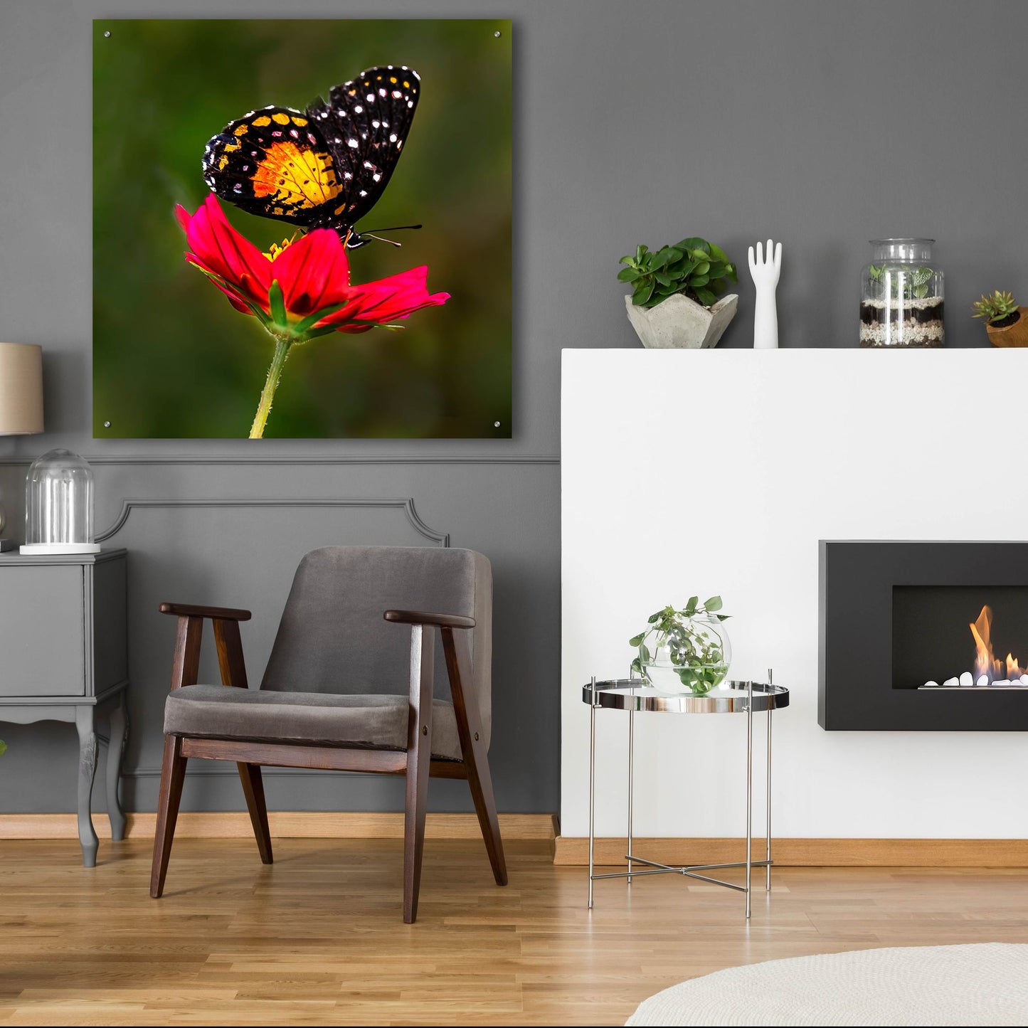 Epic Art 'Monarch Butterfly On Red Flower' by Pamela Plummer, Acrylic Glass Wall Art,36x36