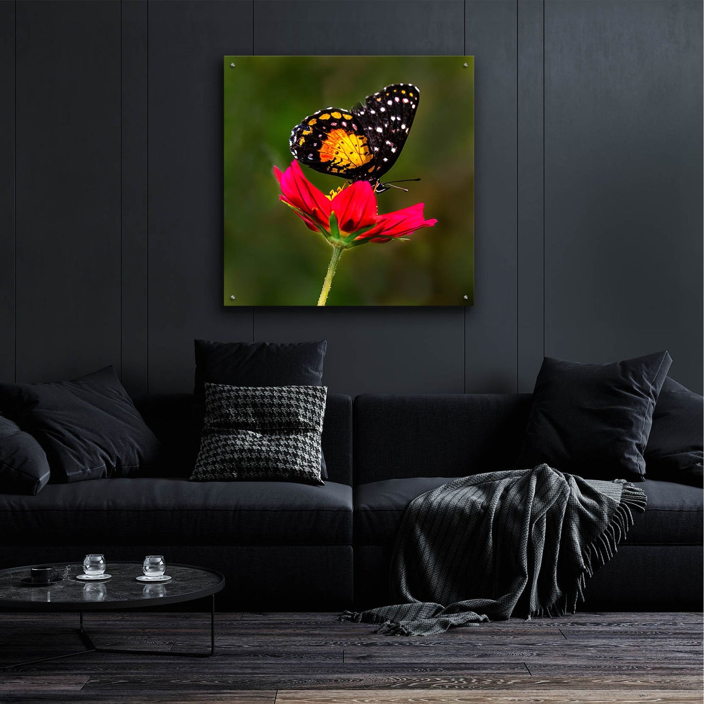 Epic Art 'Monarch Butterfly On Red Flower' by Pamela Plummer, Acrylic Glass Wall Art,36x36