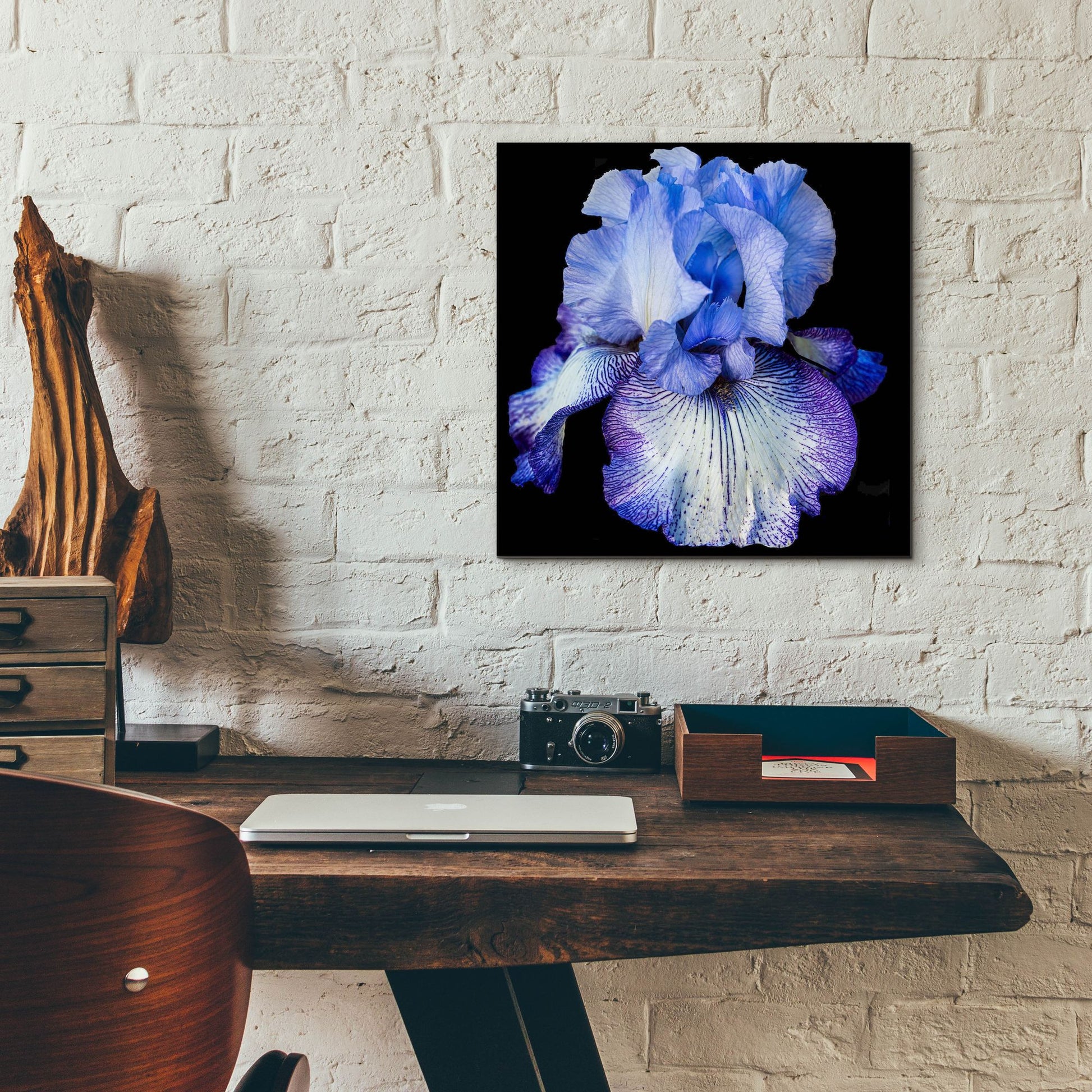 Epic Art 'Ooh Iris' by Pamela Plummer, Acrylic Glass Wall Art,12x12