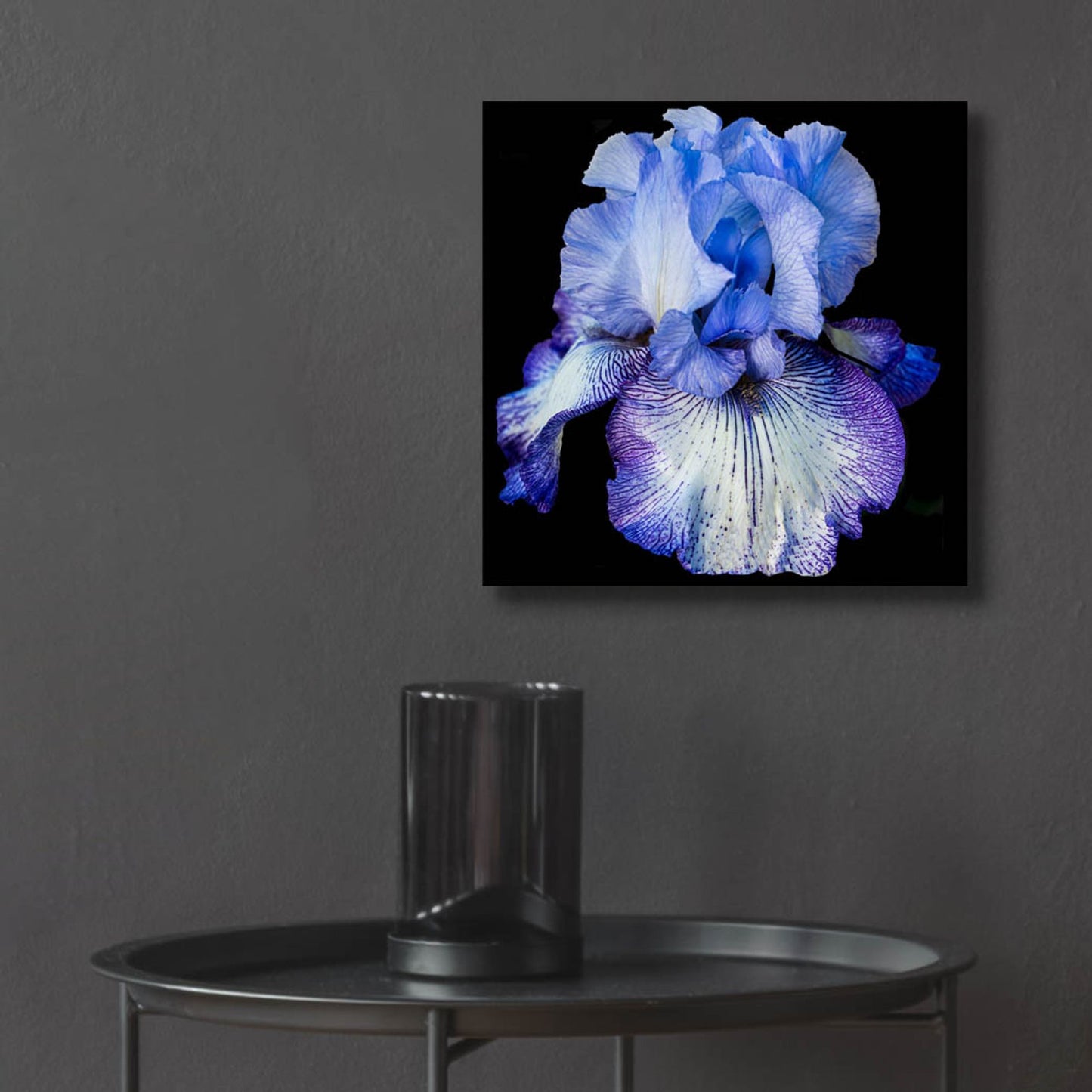 Epic Art 'Ooh Iris' by Pamela Plummer, Acrylic Glass Wall Art,12x12