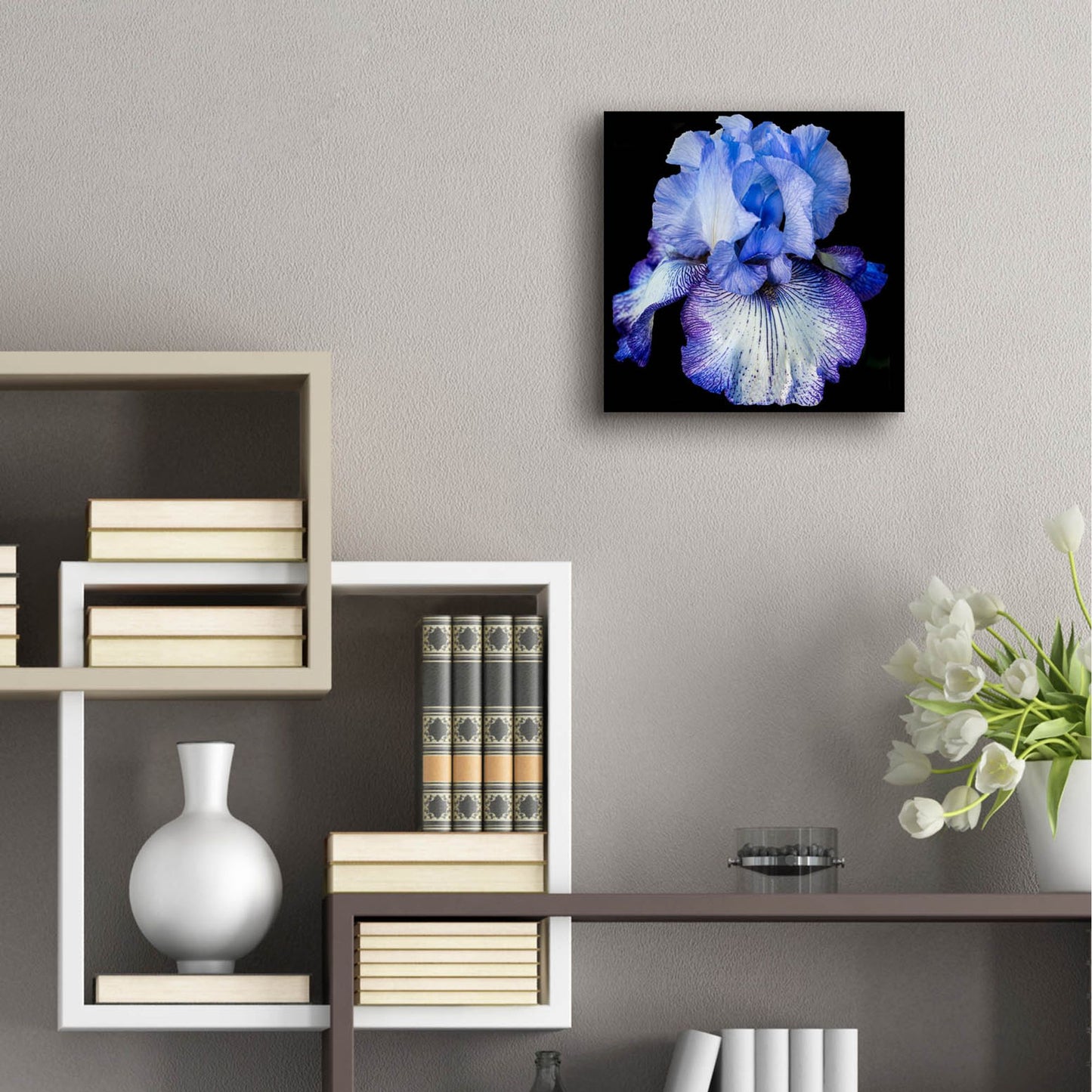 Epic Art 'Ooh Iris' by Pamela Plummer, Acrylic Glass Wall Art,12x12