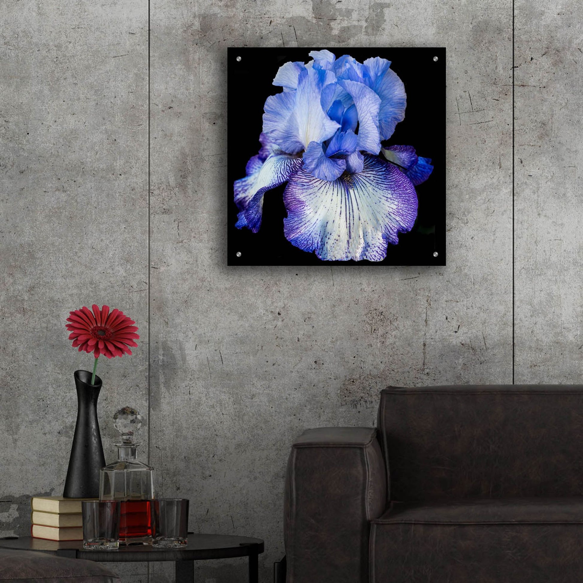 Epic Art 'Ooh Iris' by Pamela Plummer, Acrylic Glass Wall Art,24x24