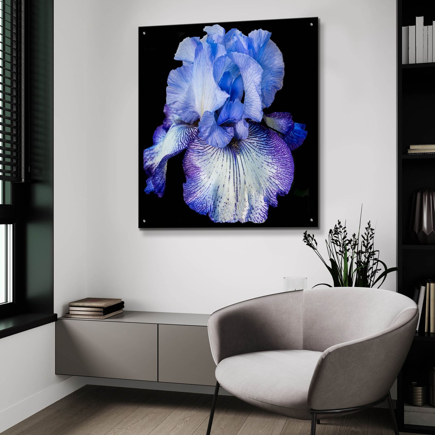 Epic Art 'Ooh Iris' by Pamela Plummer, Acrylic Glass Wall Art,36x36