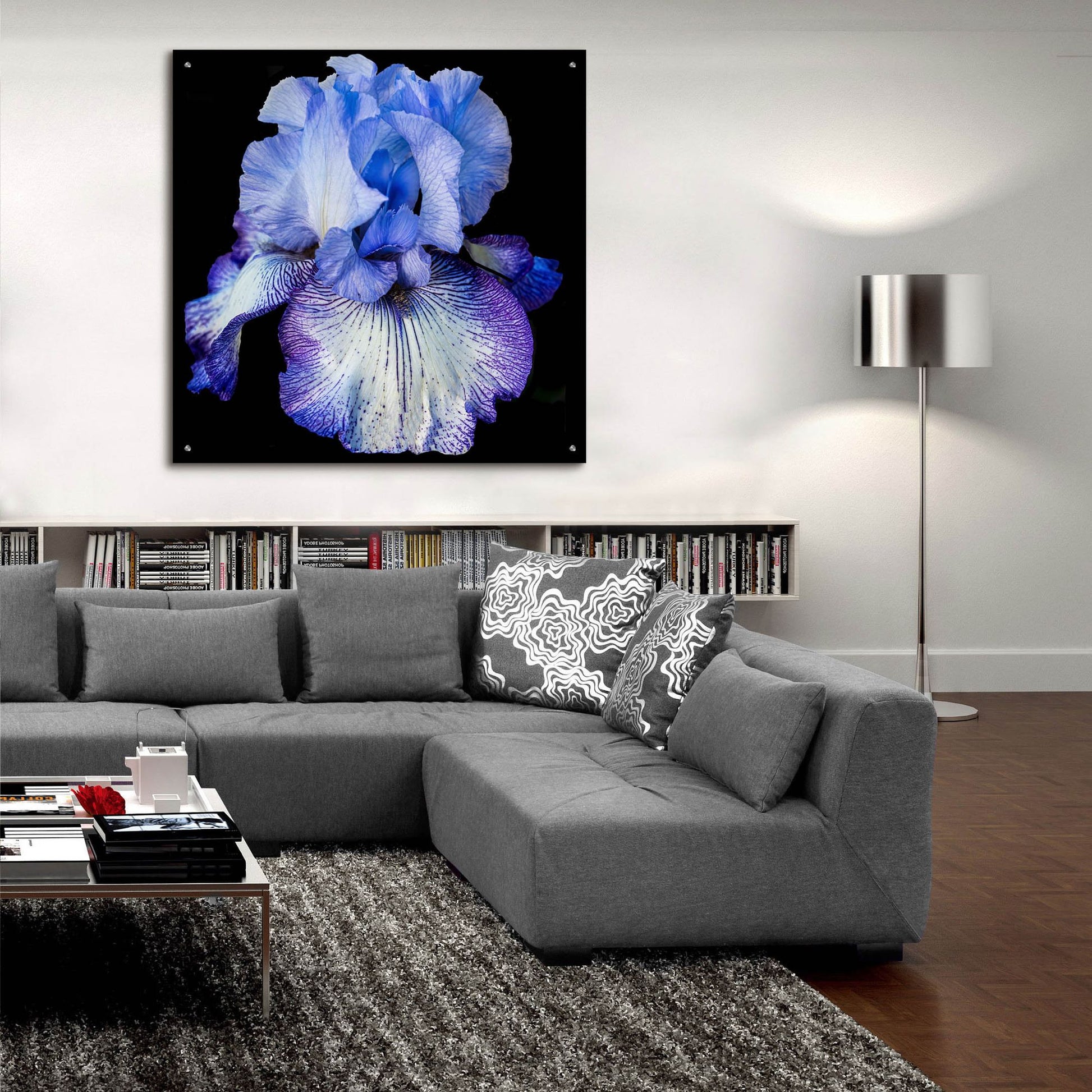 Epic Art 'Ooh Iris' by Pamela Plummer, Acrylic Glass Wall Art,36x36