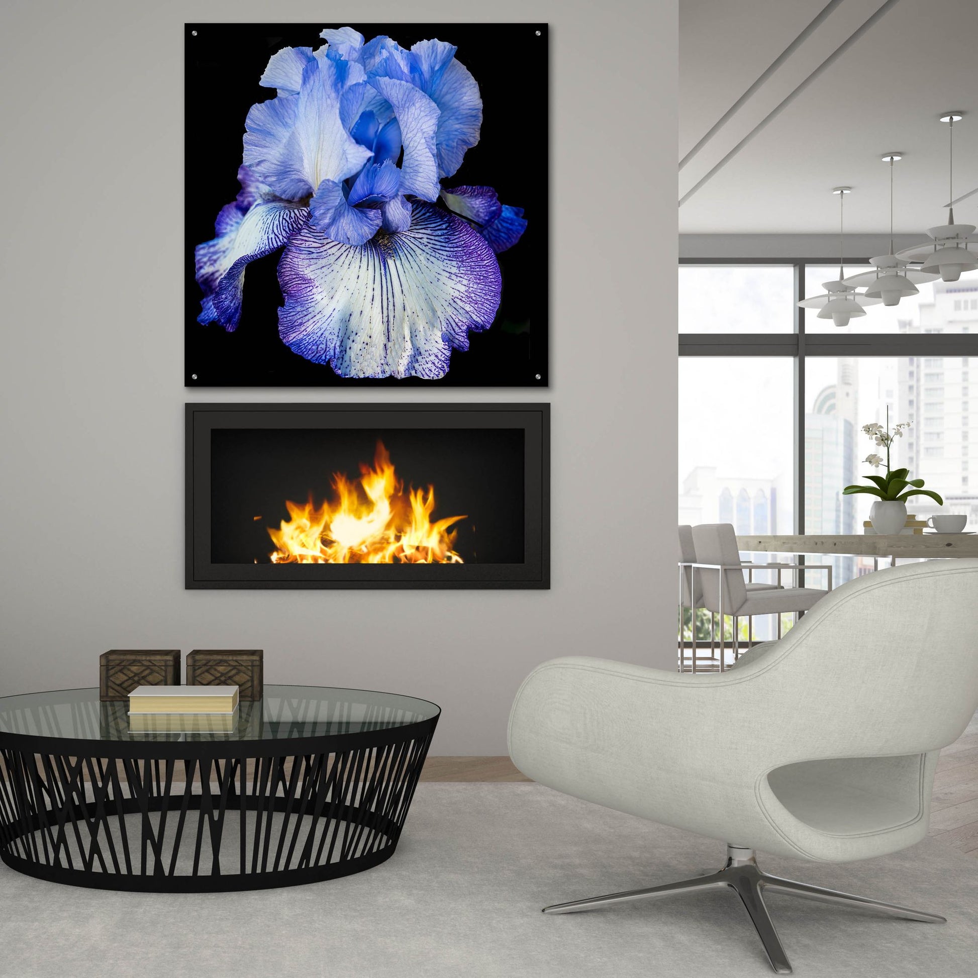 Epic Art 'Ooh Iris' by Pamela Plummer, Acrylic Glass Wall Art,36x36