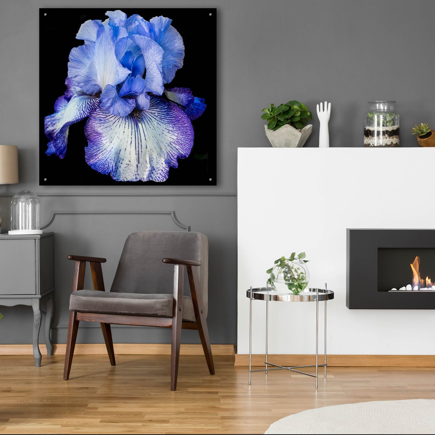 Epic Art 'Ooh Iris' by Pamela Plummer, Acrylic Glass Wall Art,36x36