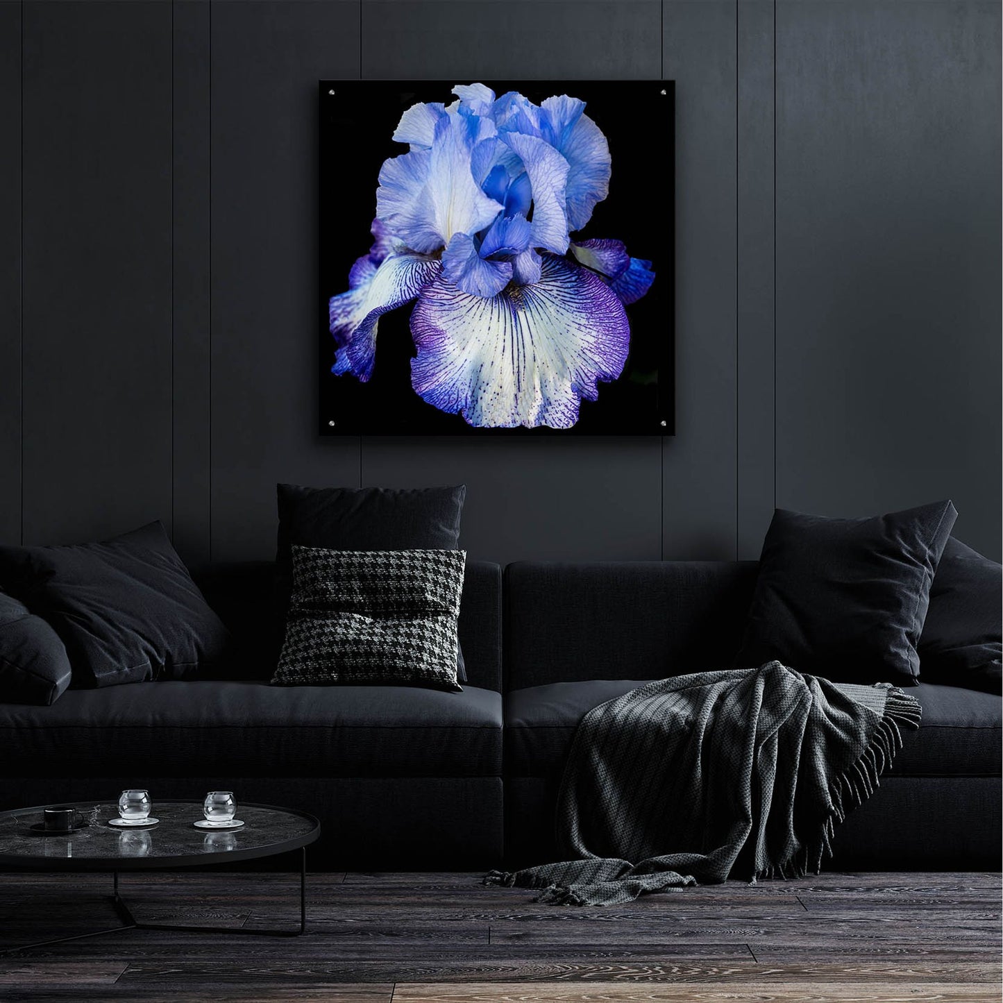 Epic Art 'Ooh Iris' by Pamela Plummer, Acrylic Glass Wall Art,36x36