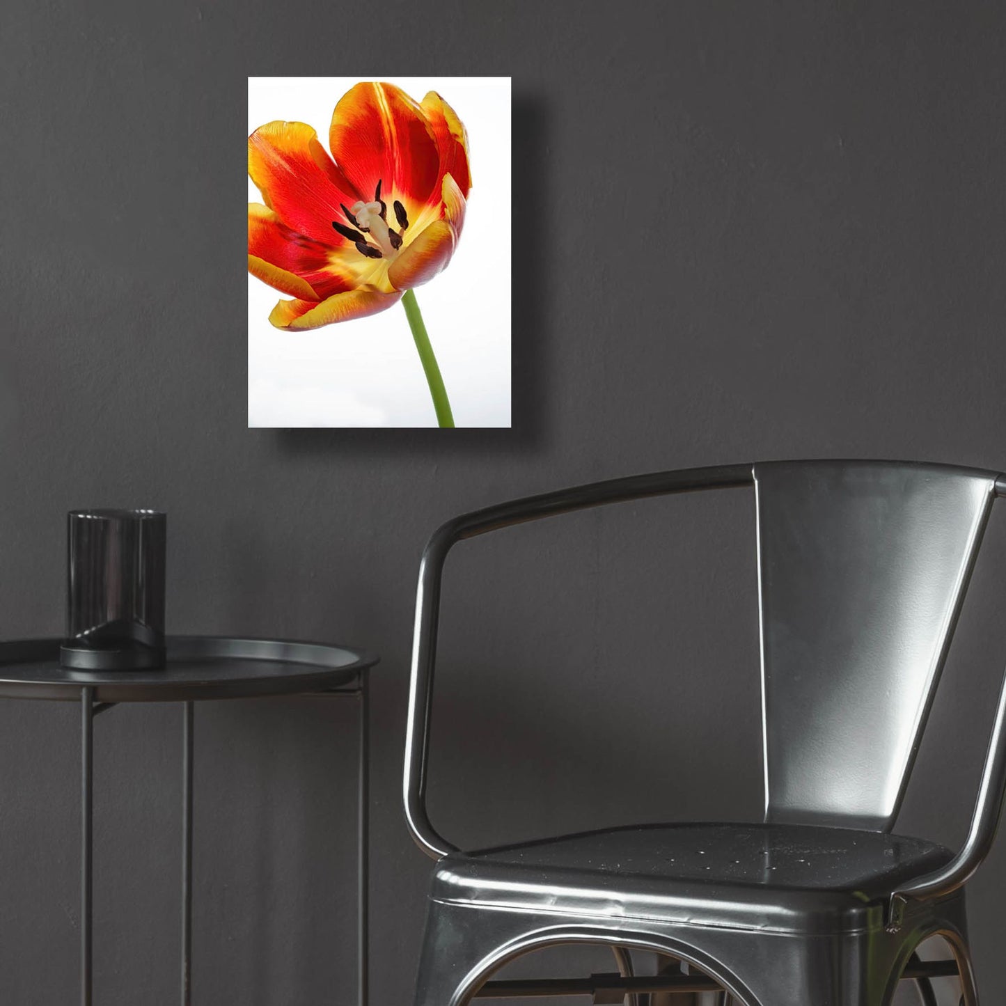 Epic Art 'Orange Poppy Opened Today' by Pamela Plummer, Acrylic Glass Wall Art,12x16