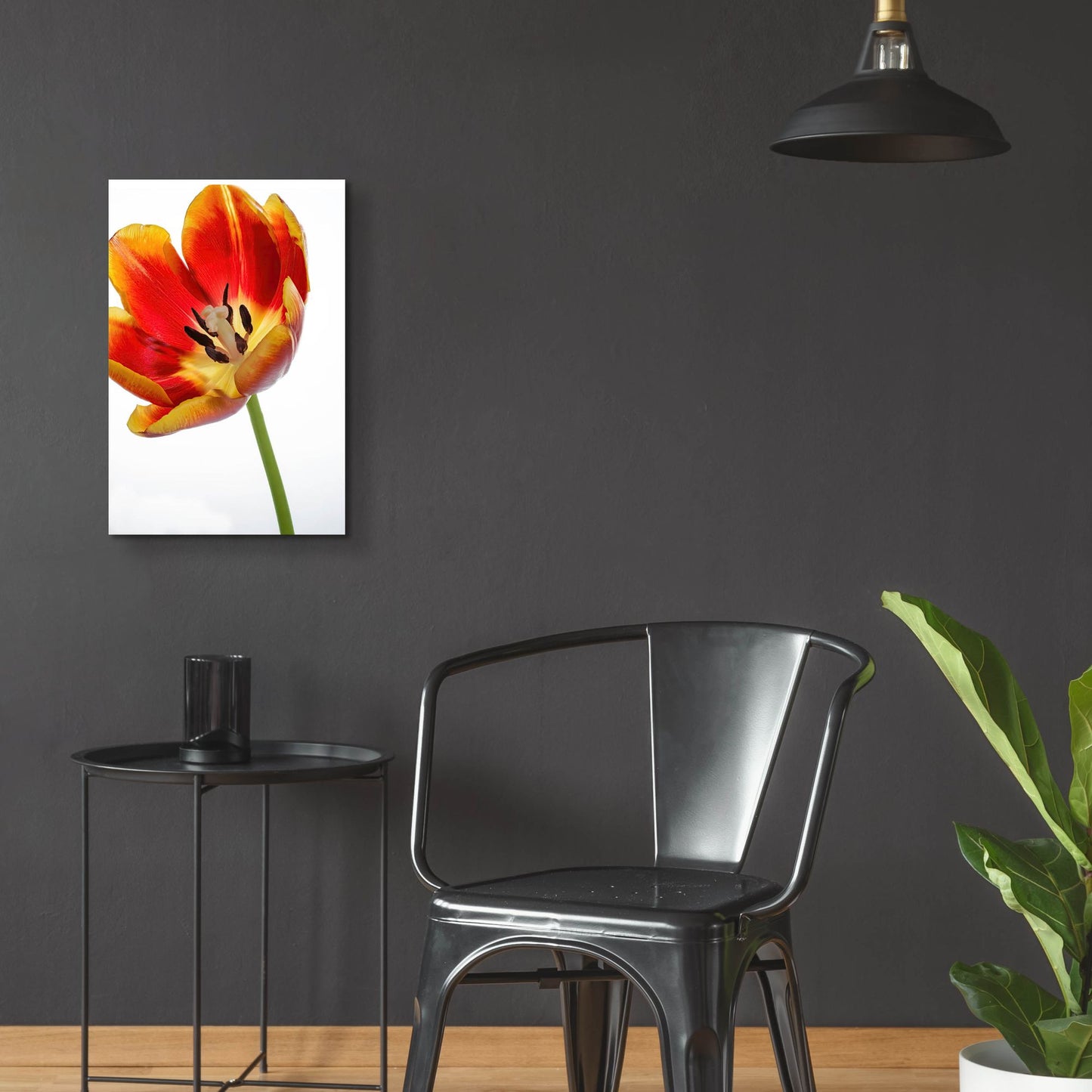 Epic Art 'Orange Poppy Opened Today' by Pamela Plummer, Acrylic Glass Wall Art,16x24