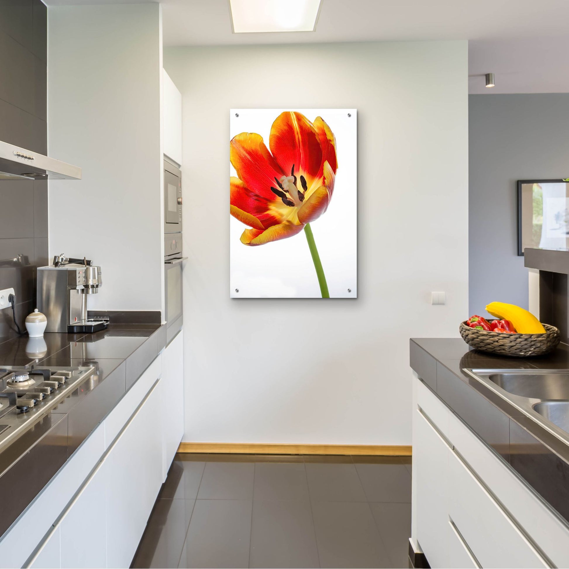 Epic Art 'Orange Poppy Opened Today' by Pamela Plummer, Acrylic Glass Wall Art,24x36