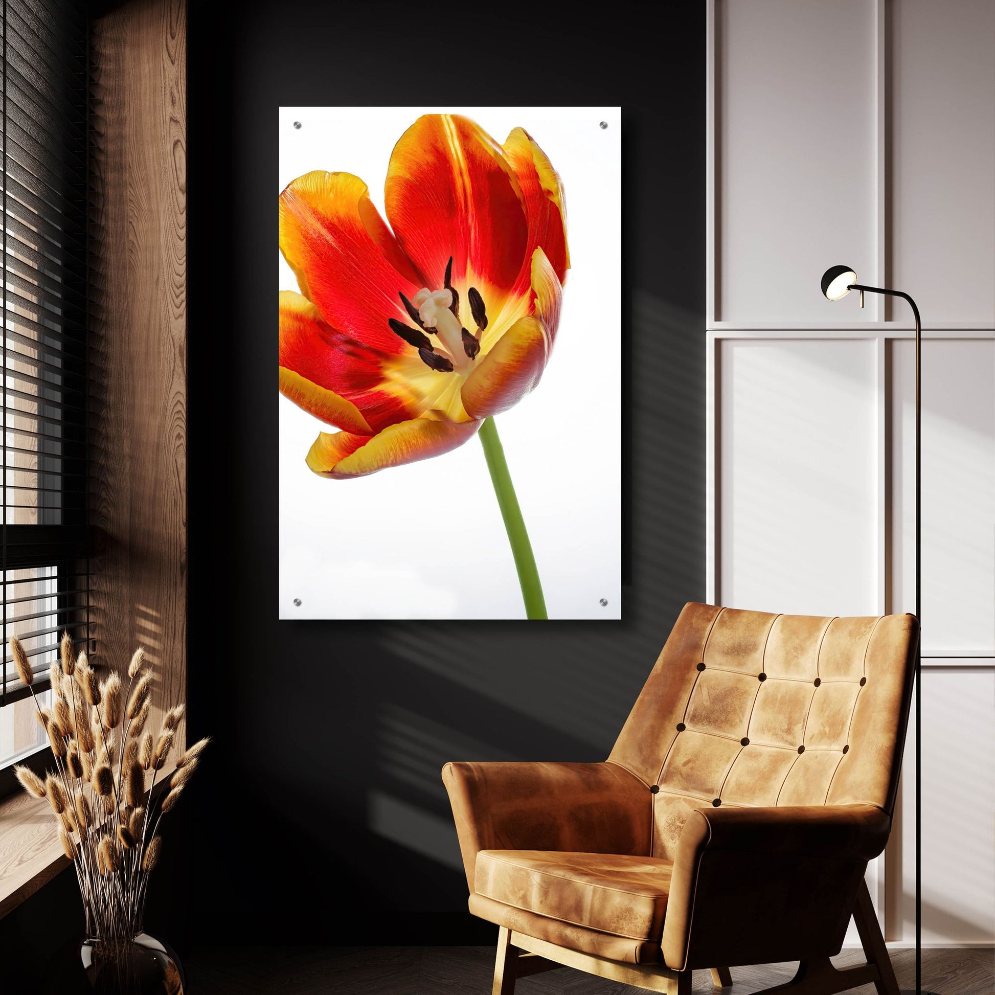 Epic Art 'Orange Poppy Opened Today' by Pamela Plummer, Acrylic Glass Wall Art,24x36