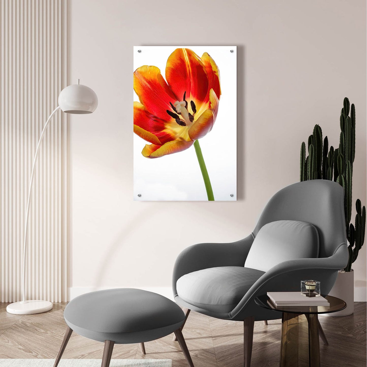 Epic Art 'Orange Poppy Opened Today' by Pamela Plummer, Acrylic Glass Wall Art,24x36