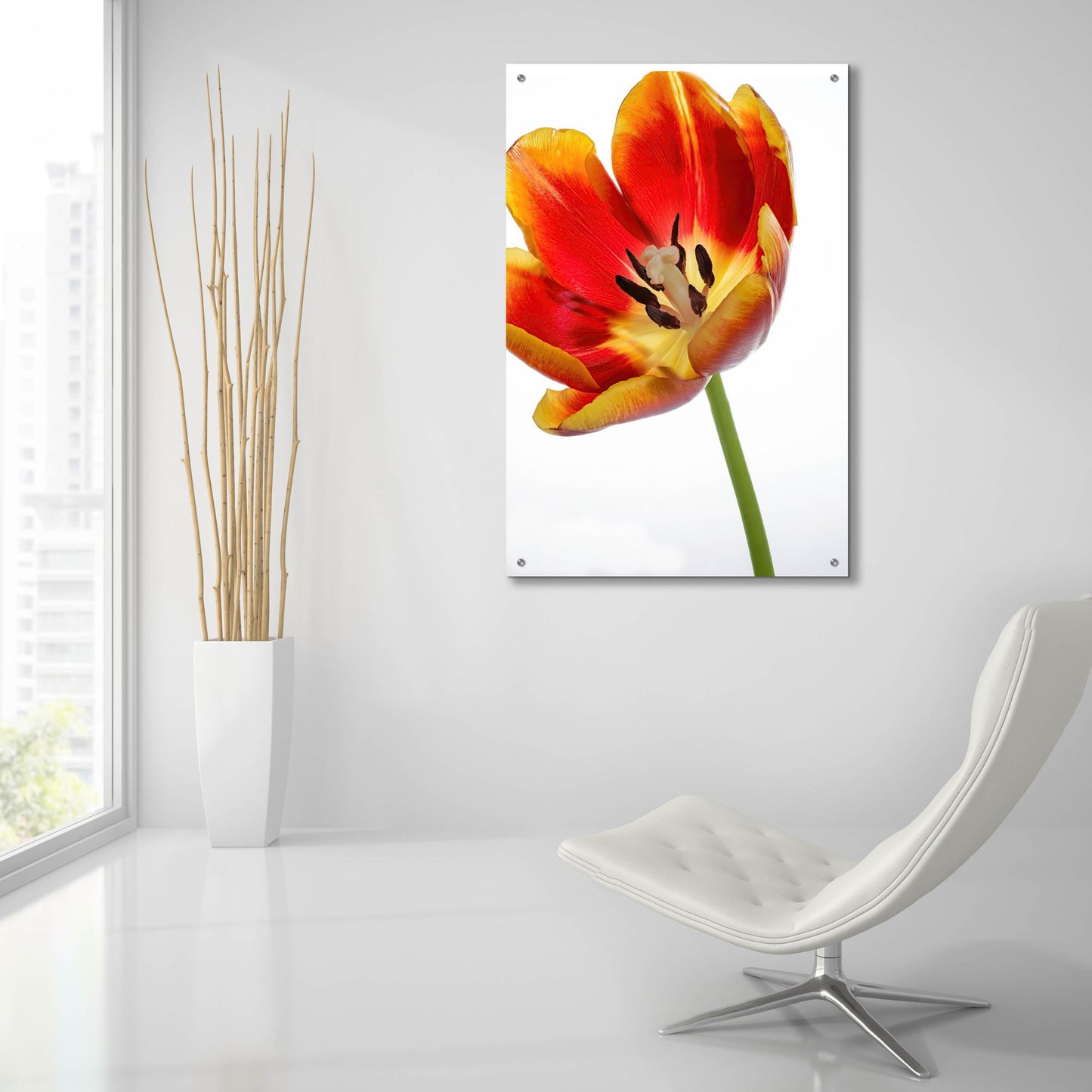 Epic Art 'Orange Poppy Opened Today' by Pamela Plummer, Acrylic Glass Wall Art,24x36