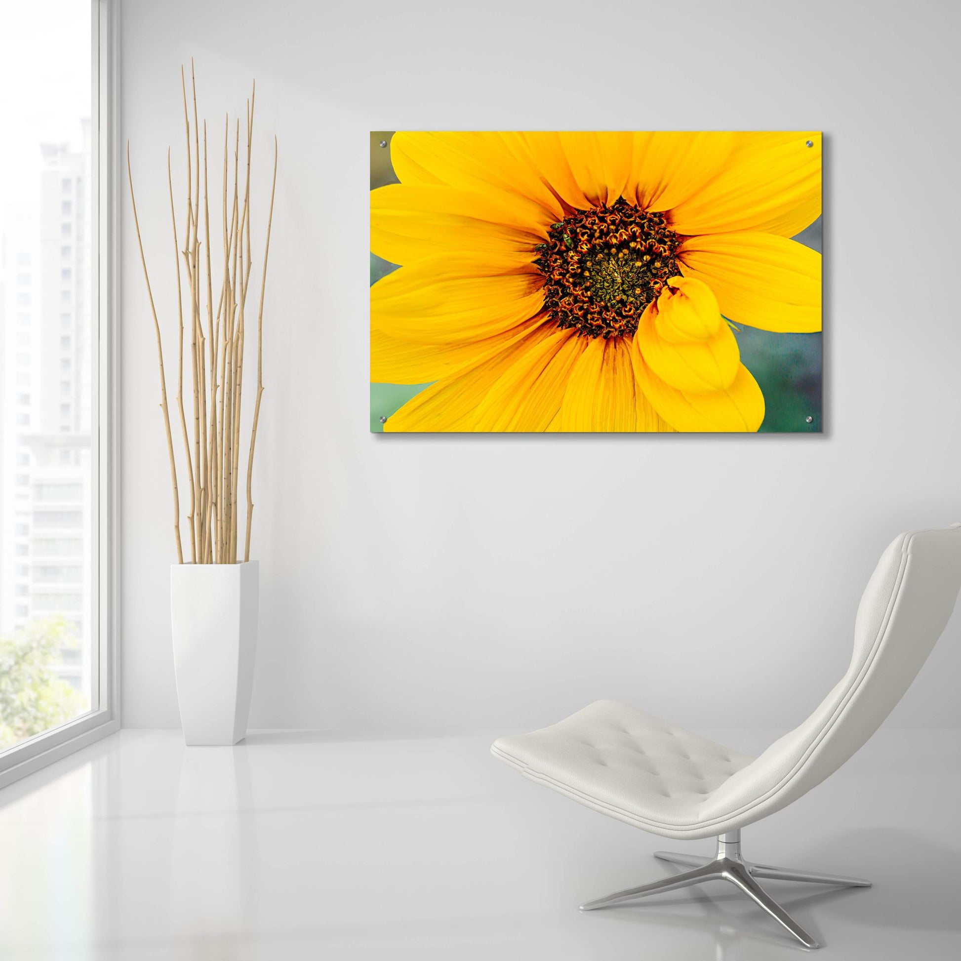 Epic Art 'Petal Gone Wild' by Pamela Plummer, Acrylic Glass Wall Art,36x24