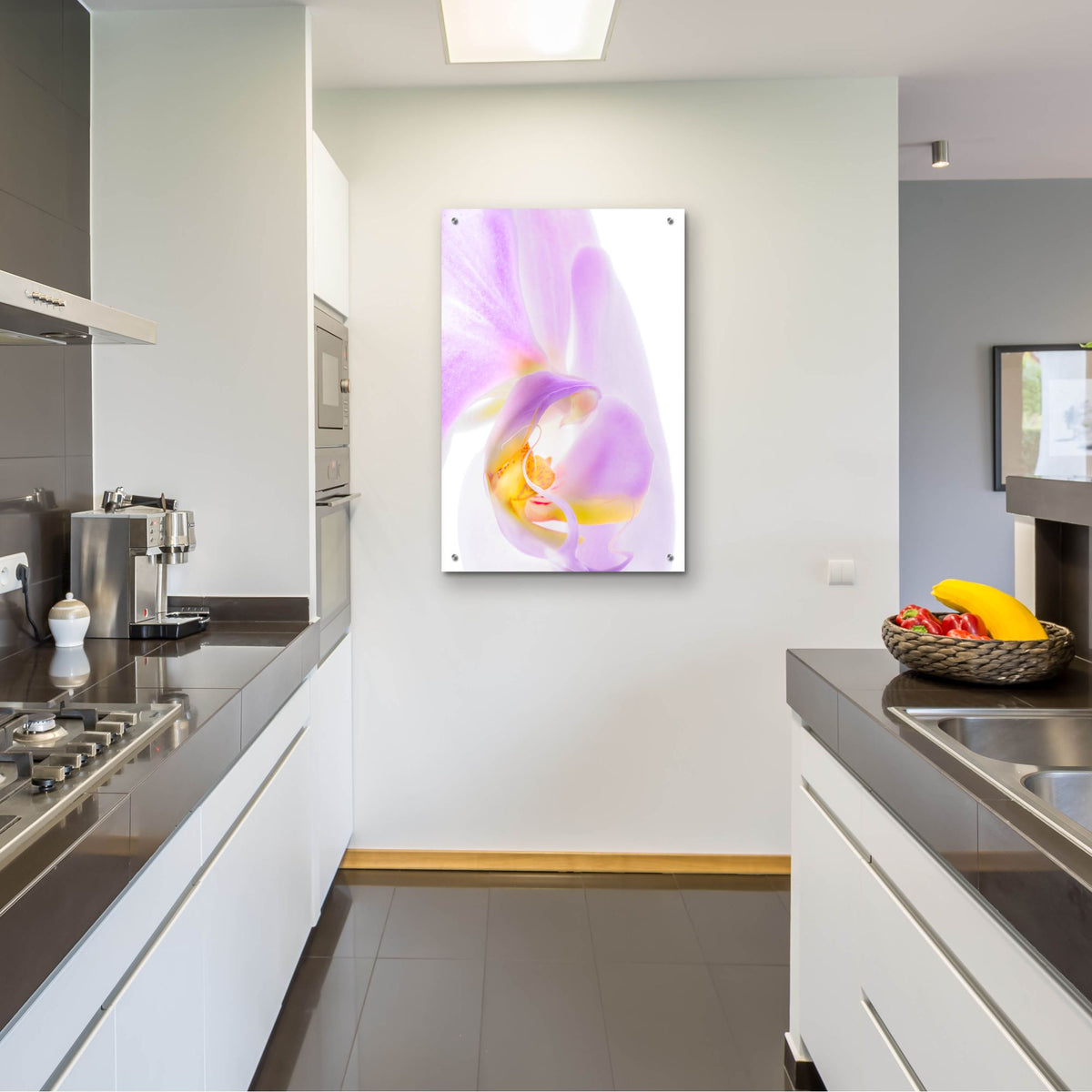 Epic Art 'Phalaenopsis Orchid' by Pamela Plummer, Acrylic Glass Wall Art,24x36